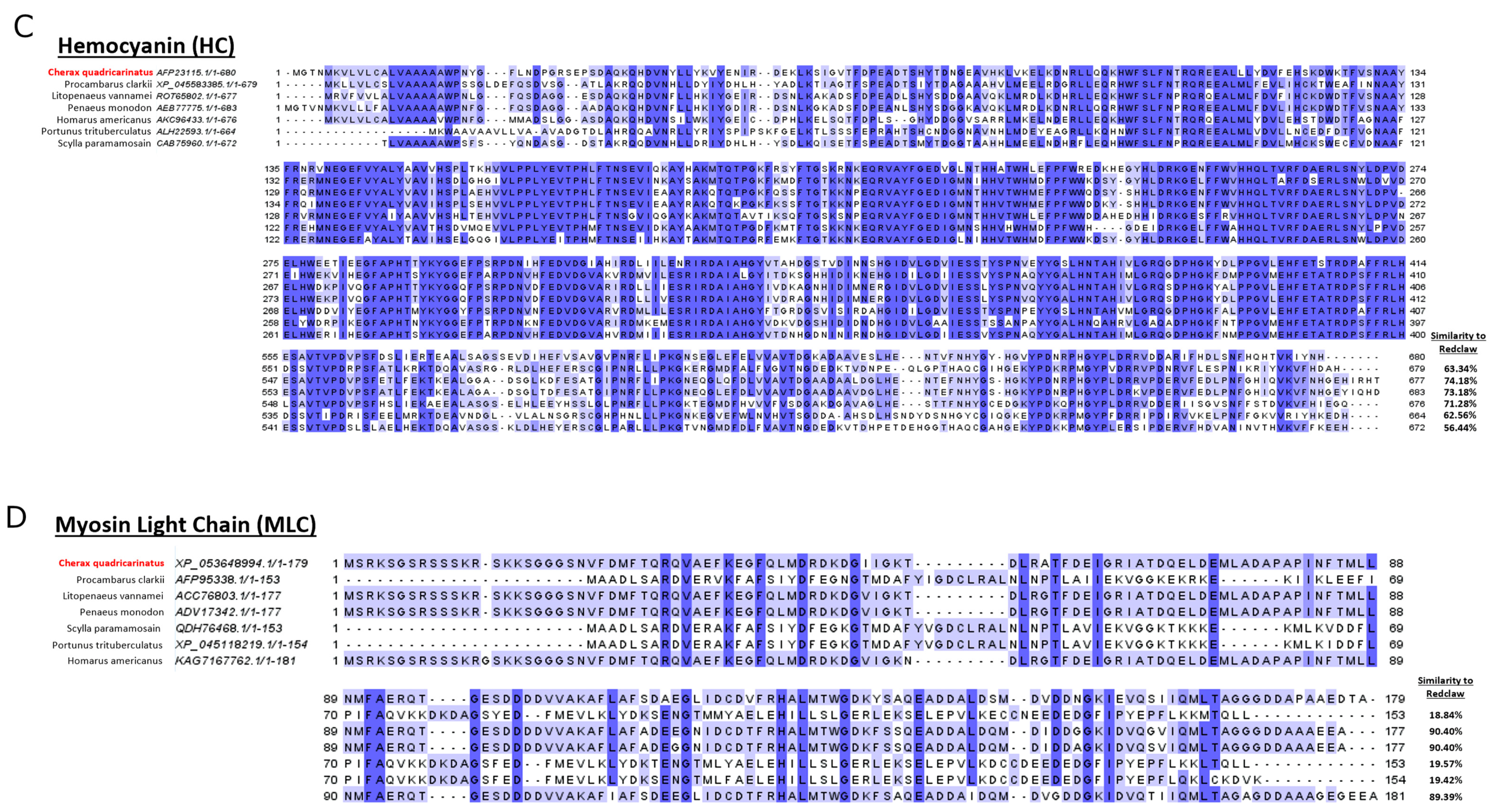 Foods 13 00315 g007b