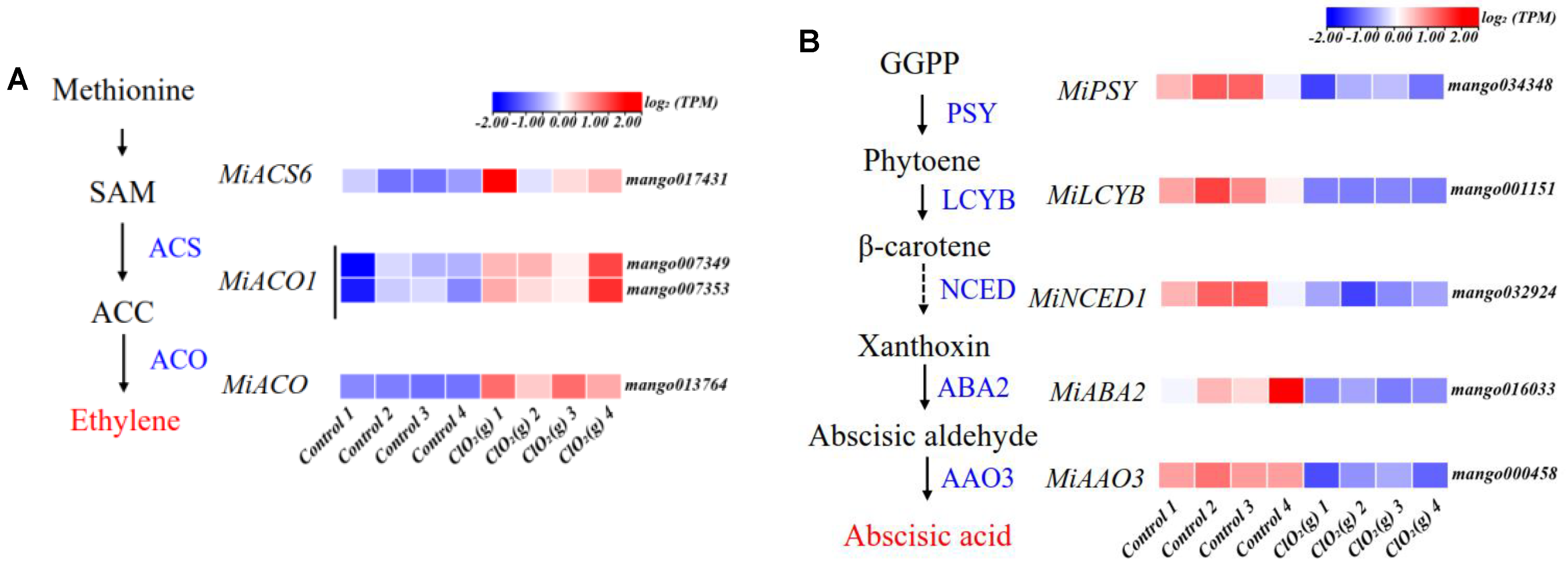 Foods 13 00316 g007a