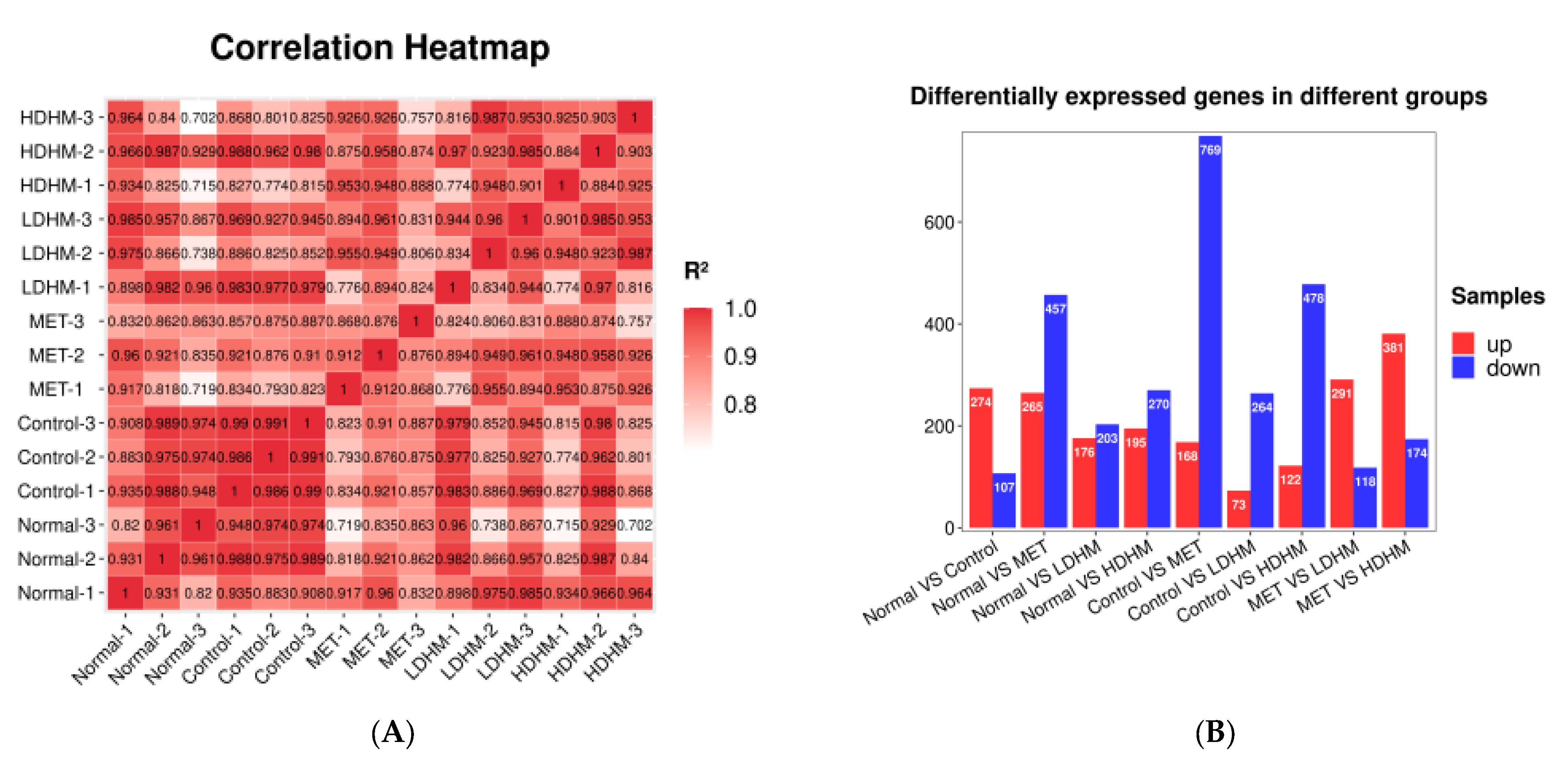 Foods 13 00344 g004a
