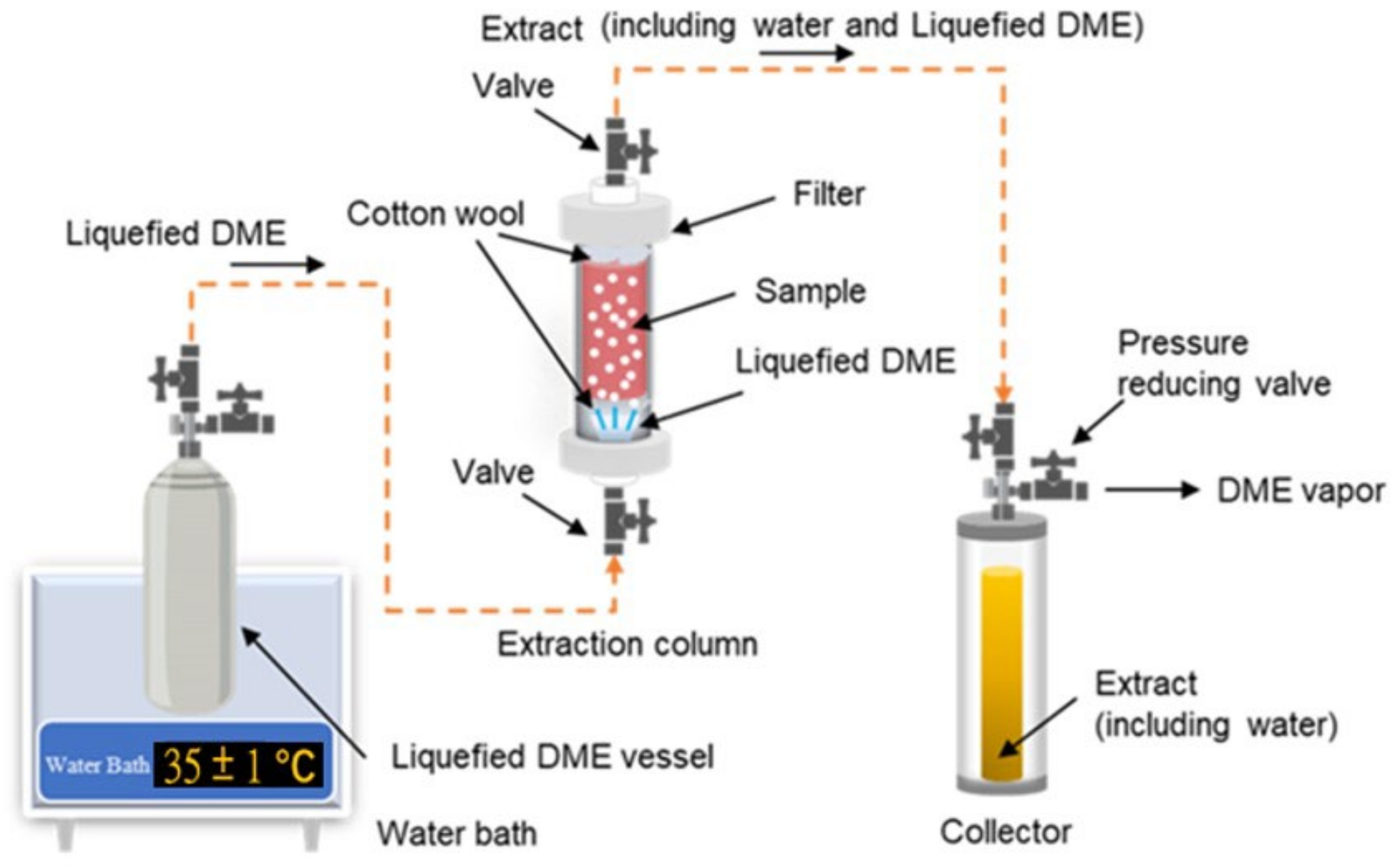 Foods 13 00352 g003 Foods 13 00352 g003