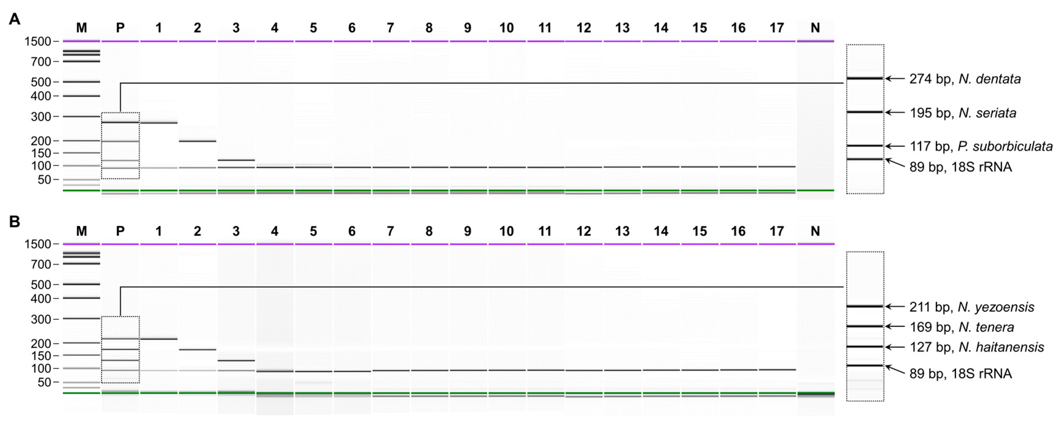 Foods 13 00363 g001 Foods 13 00363 g001