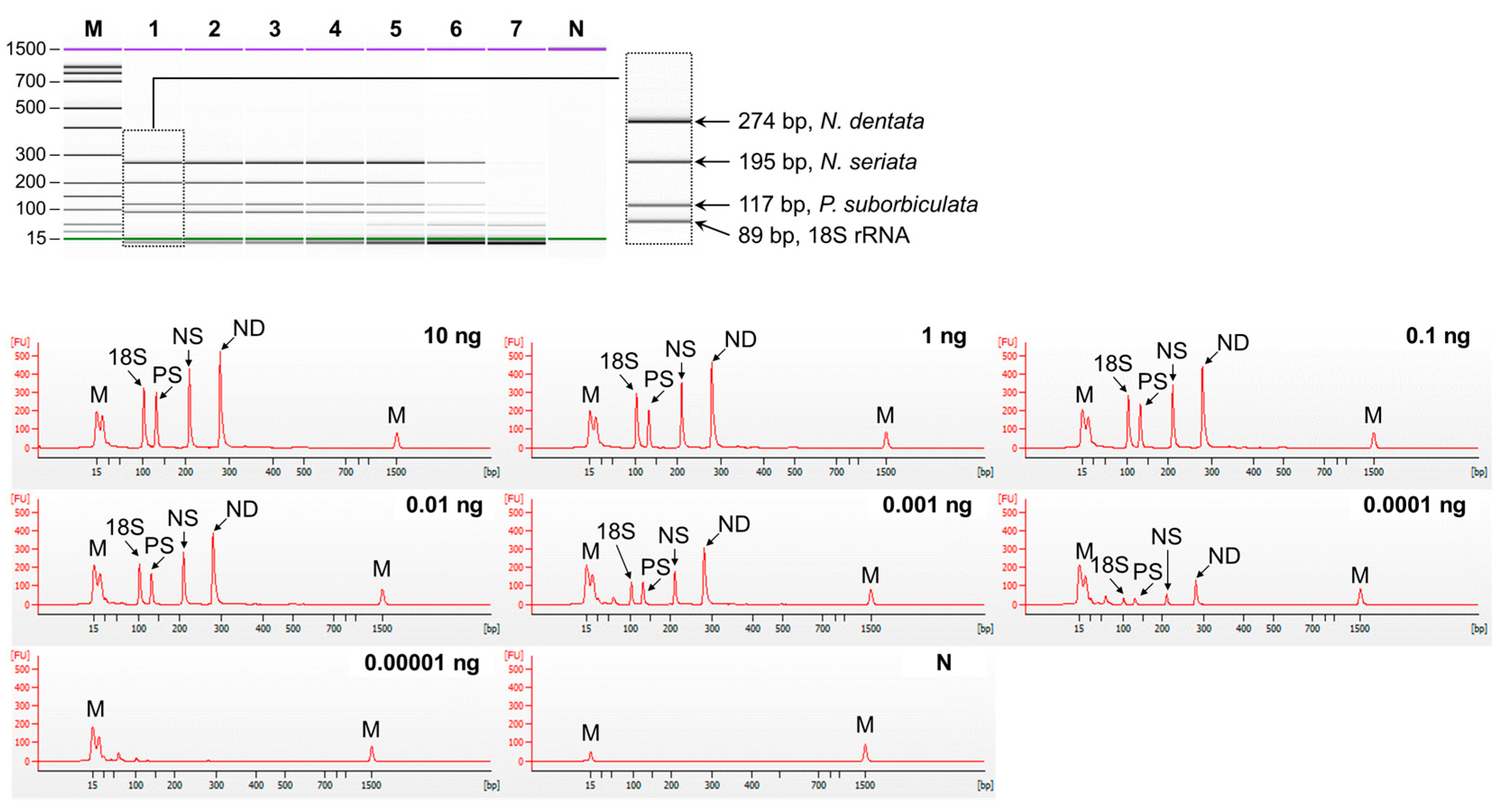 Foods 13 00363 g003 Foods 13 00363 g003