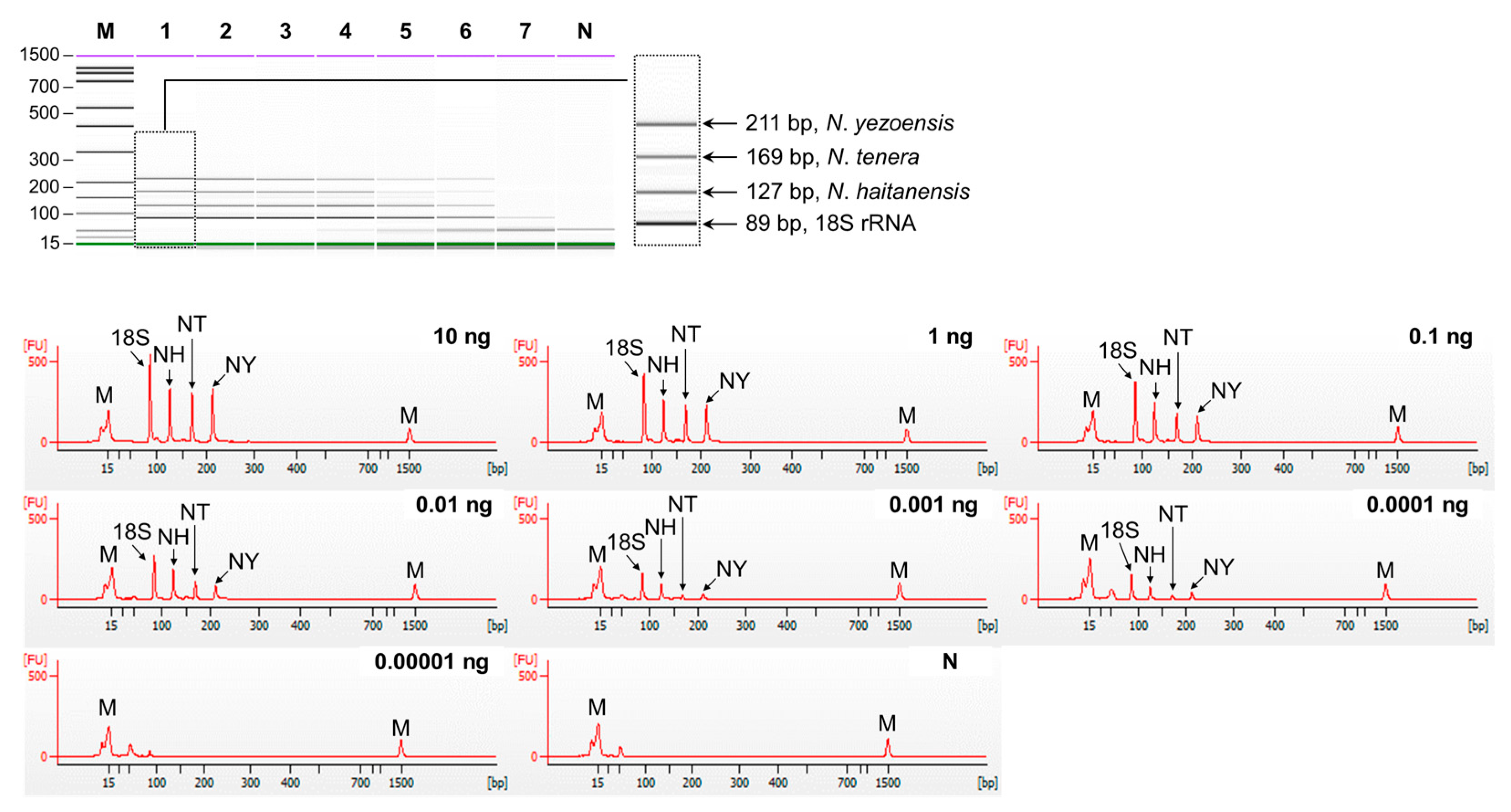 Foods 13 00363 g004 Foods 13 00363 g004