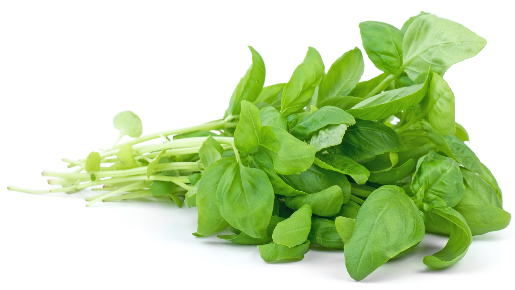 Foods 13 00383 g001 Foods 13 00383 g001