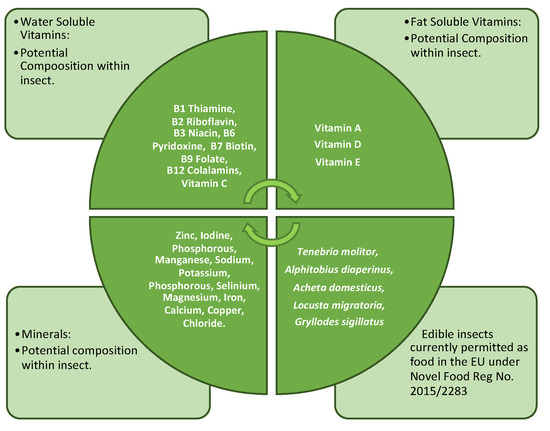 The Potential of Edible Insects as a Safe, Palatable, and Sustainable ...