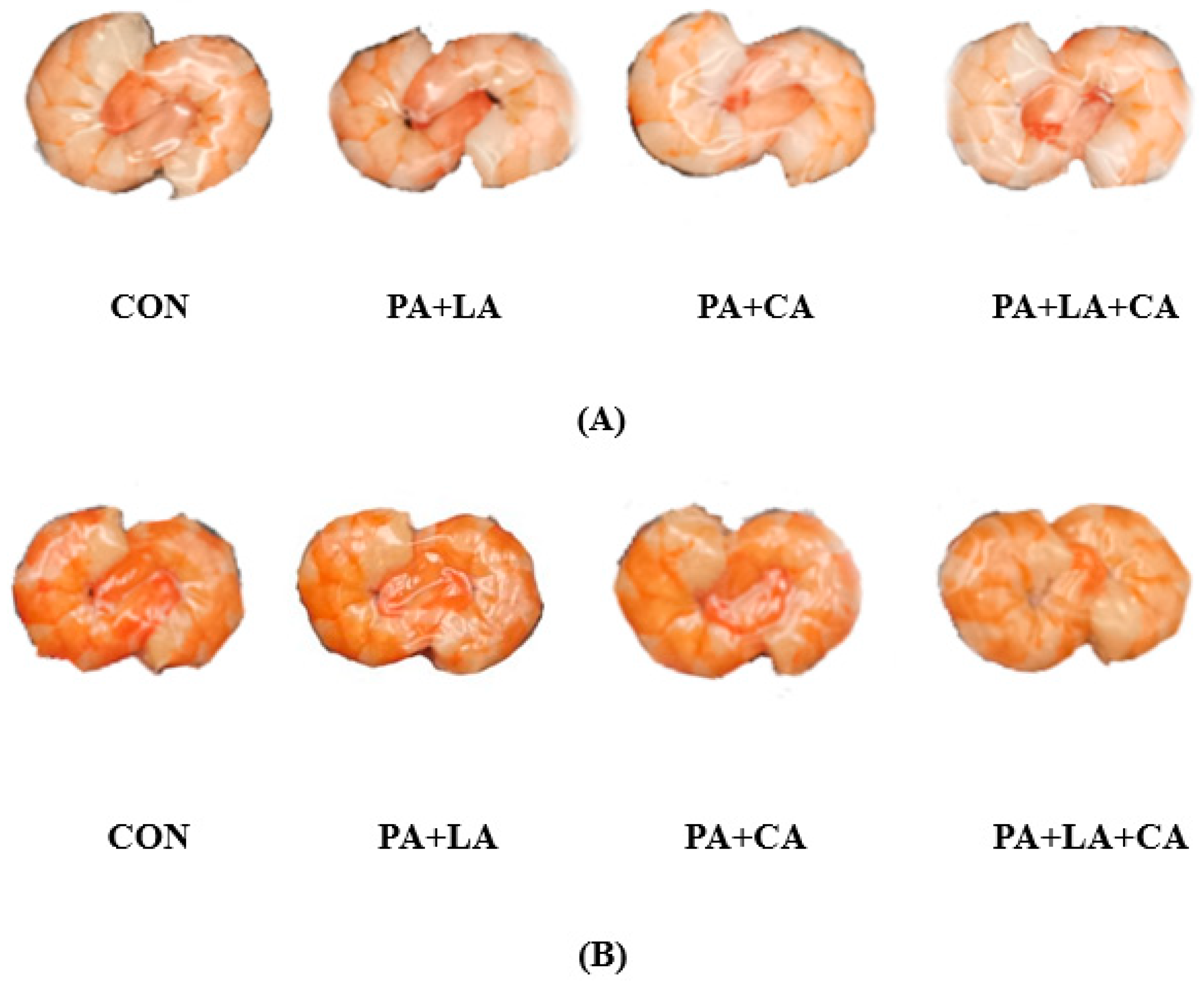 Foods 13 00388 g001a