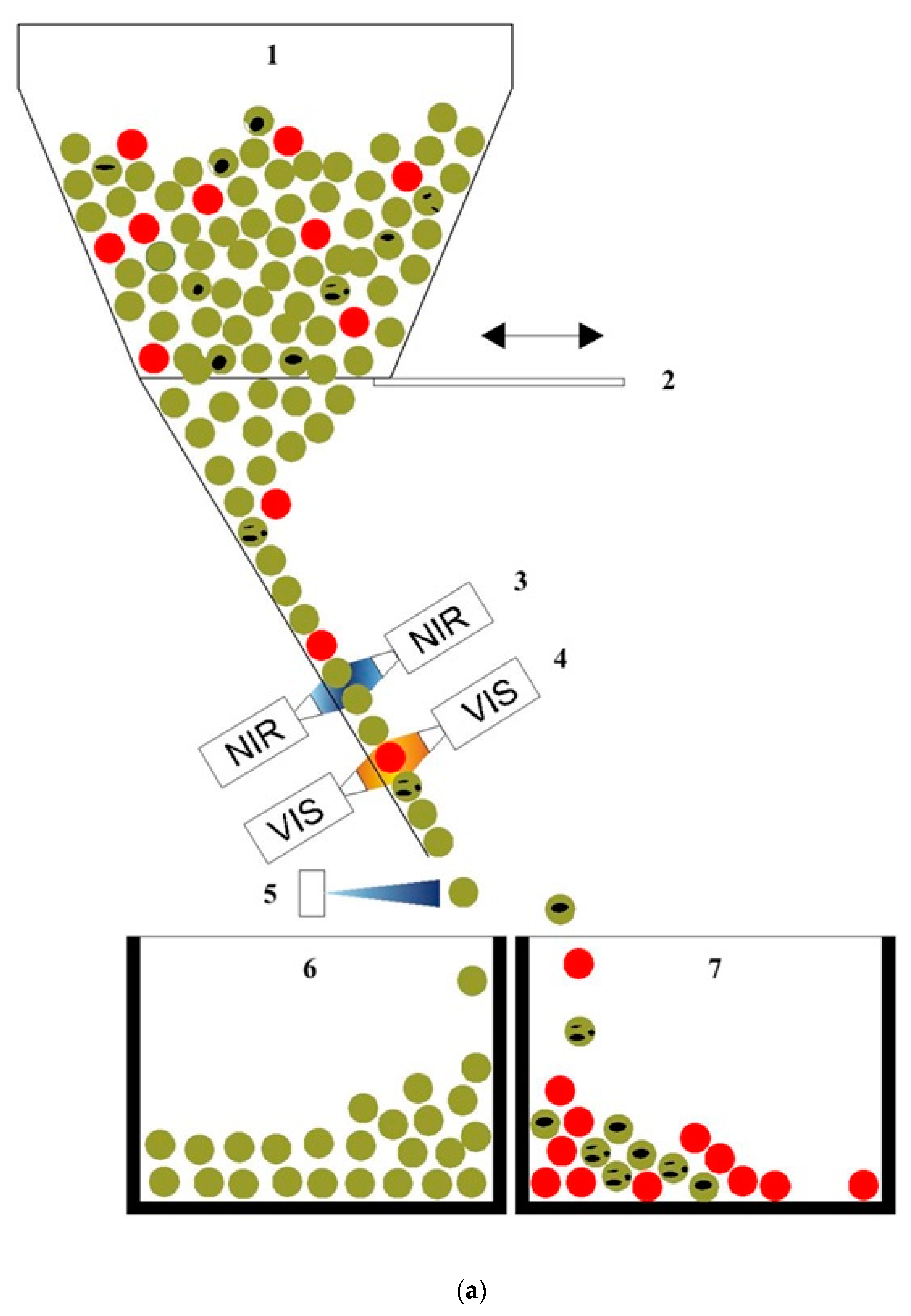 Foods 13 00404 g004a
