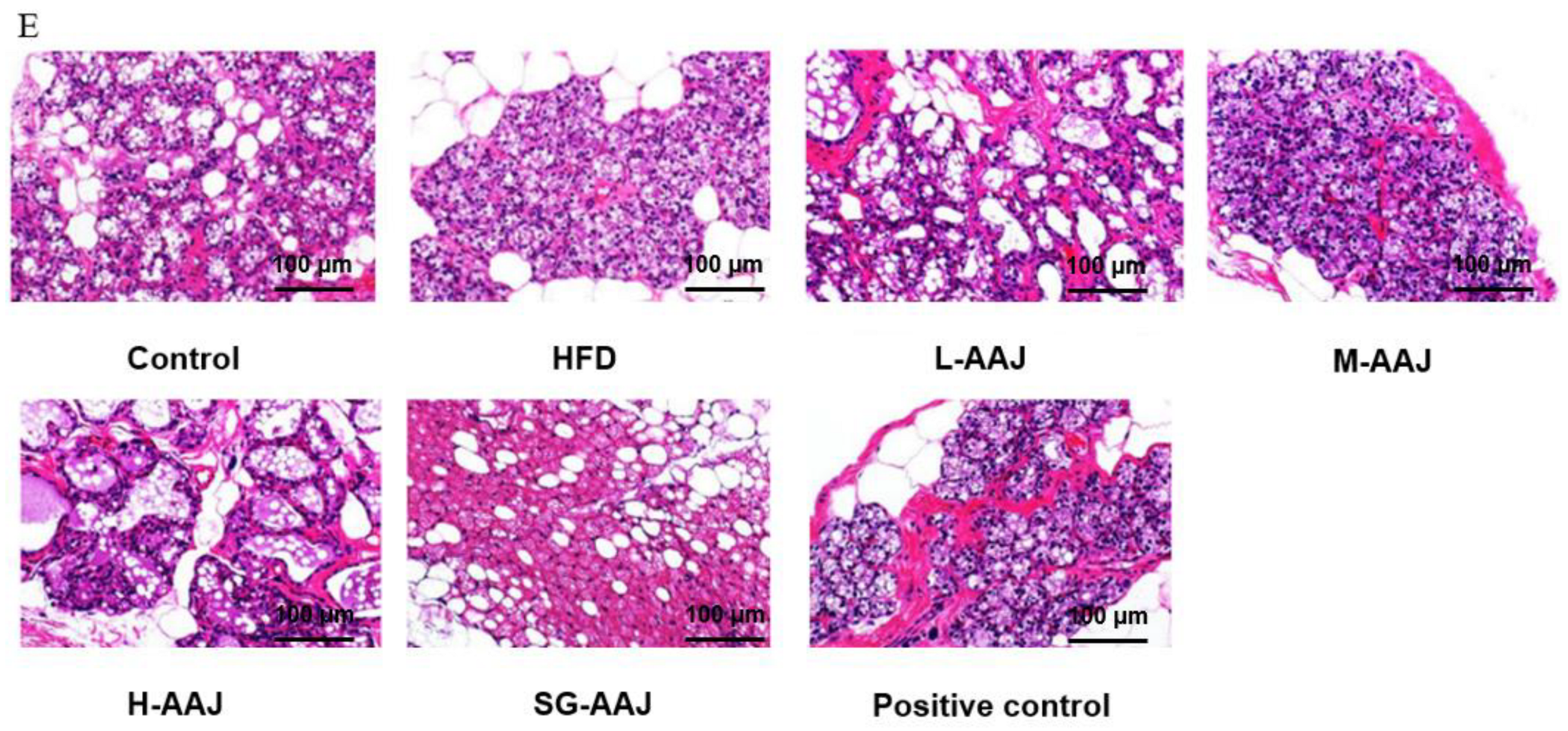 Foods 13 00406 g004b
