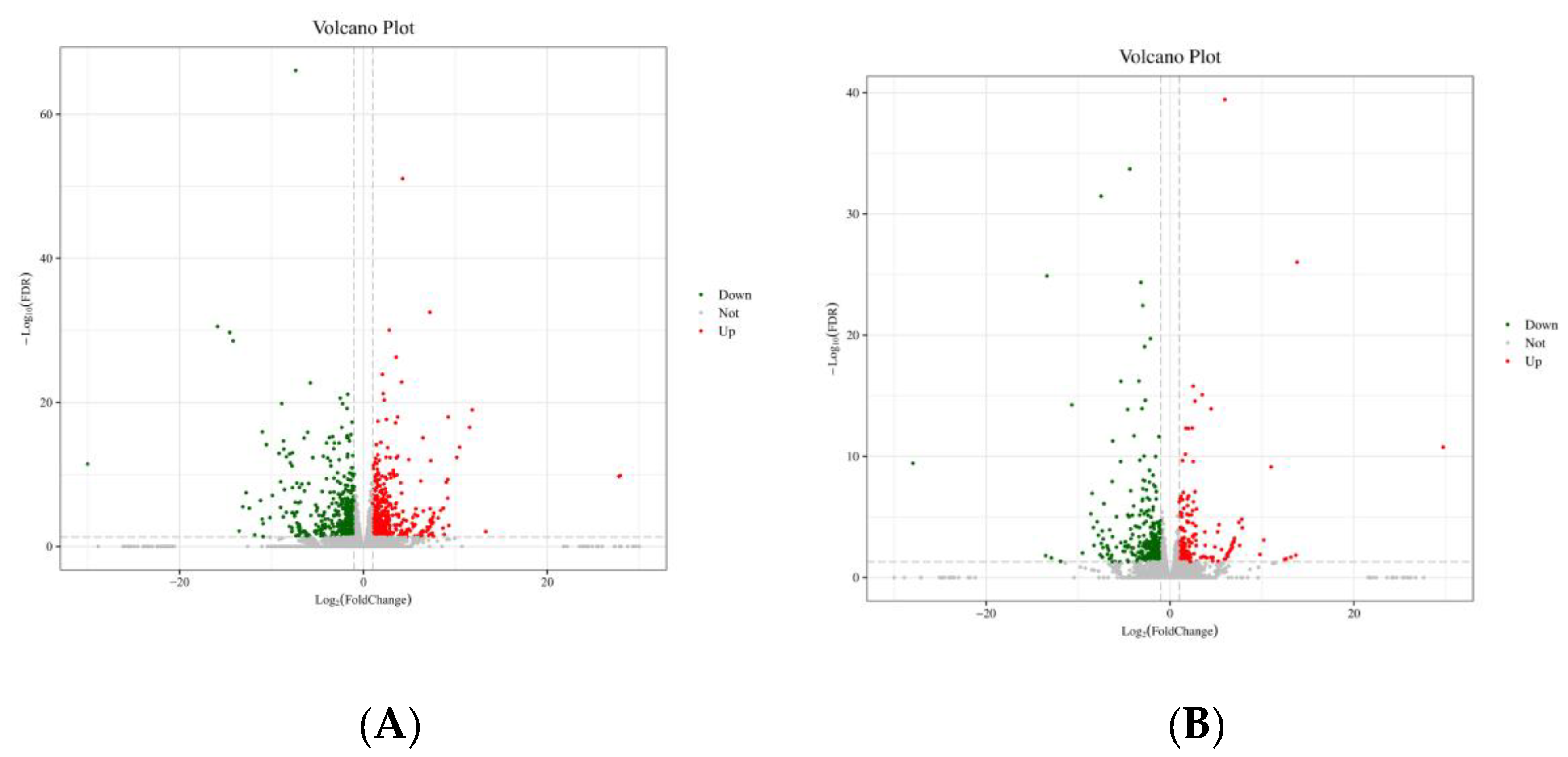 Foods 13 00406 g006a