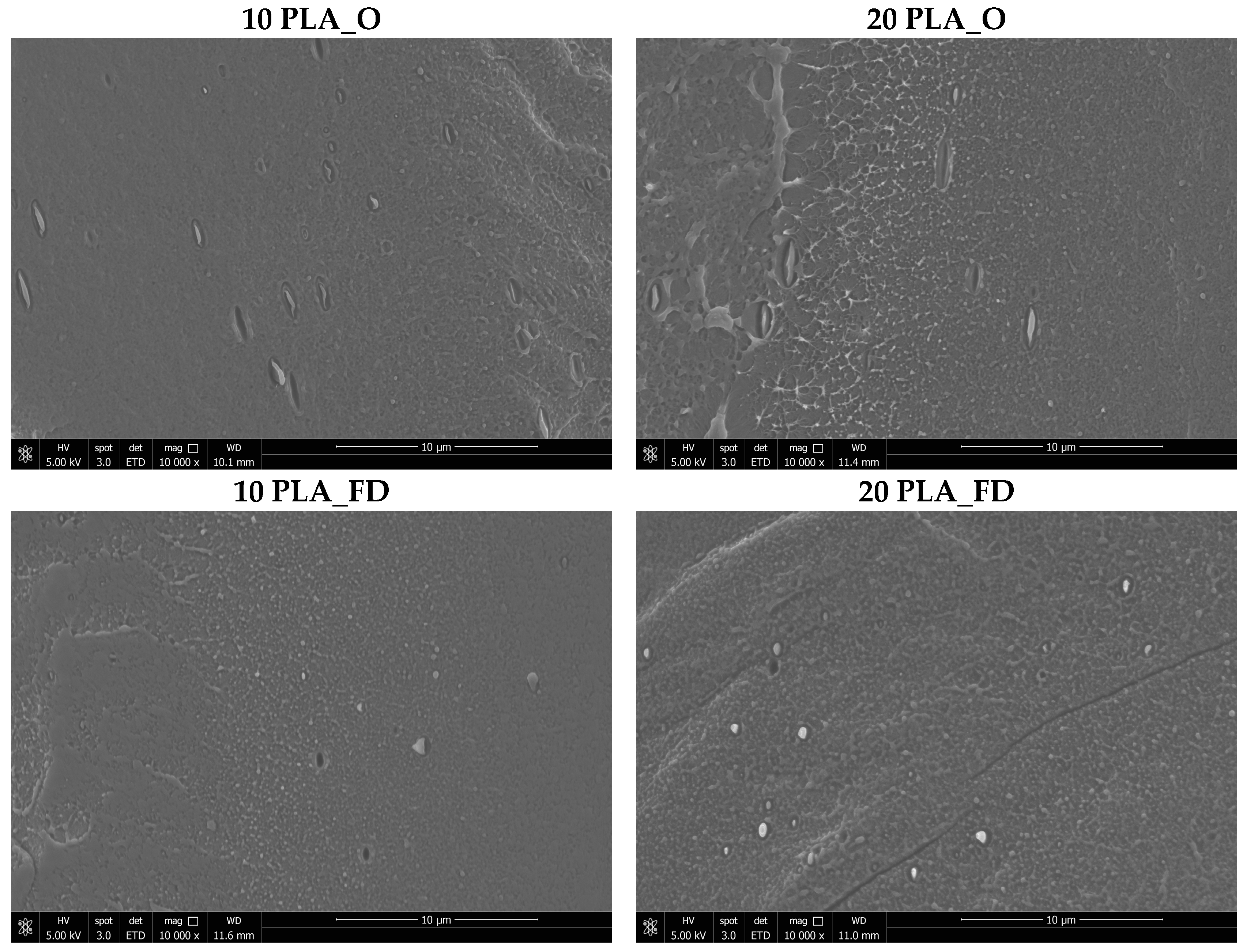 Foods 13 00475 g005b