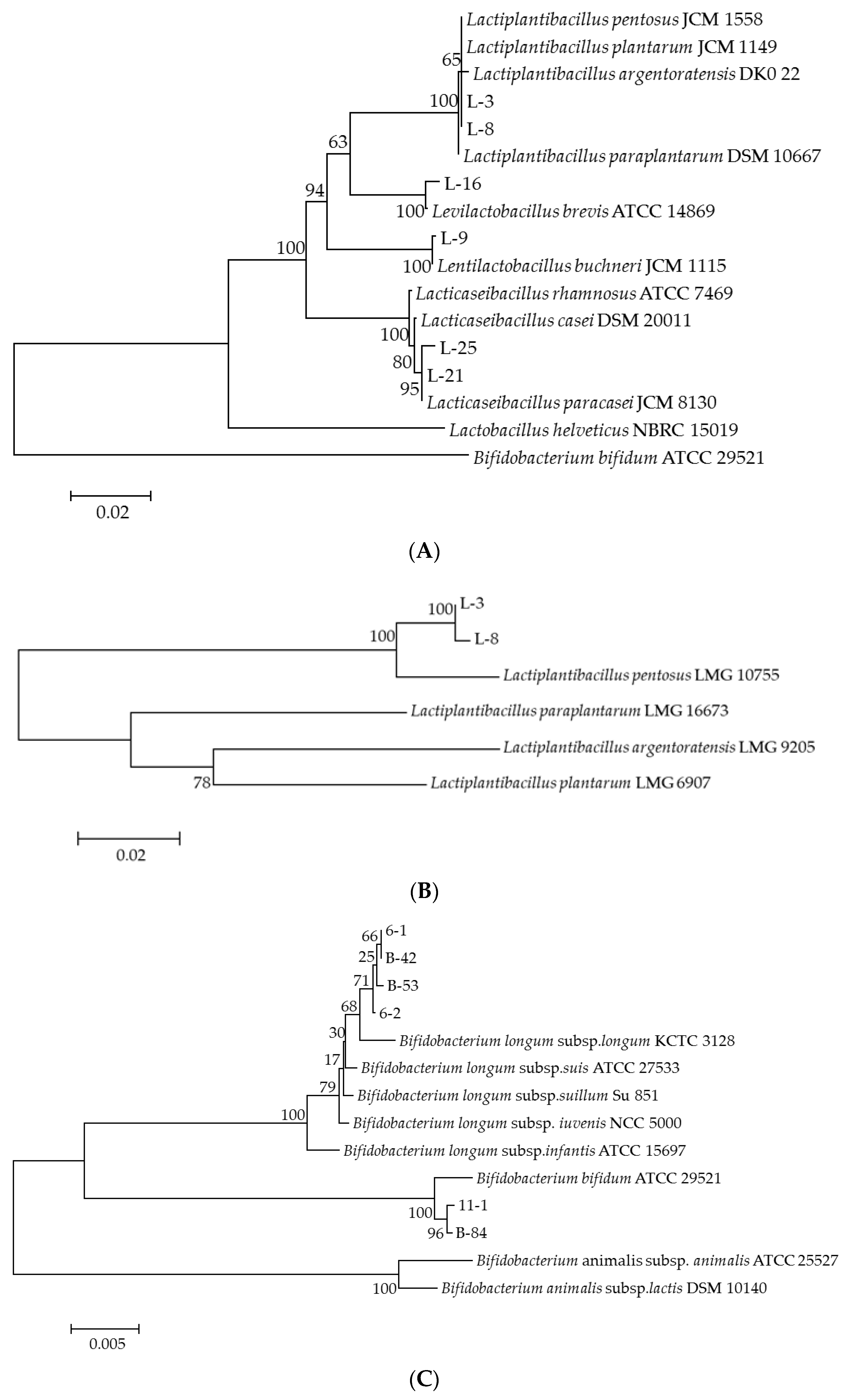 Foods 13 00519 g001a