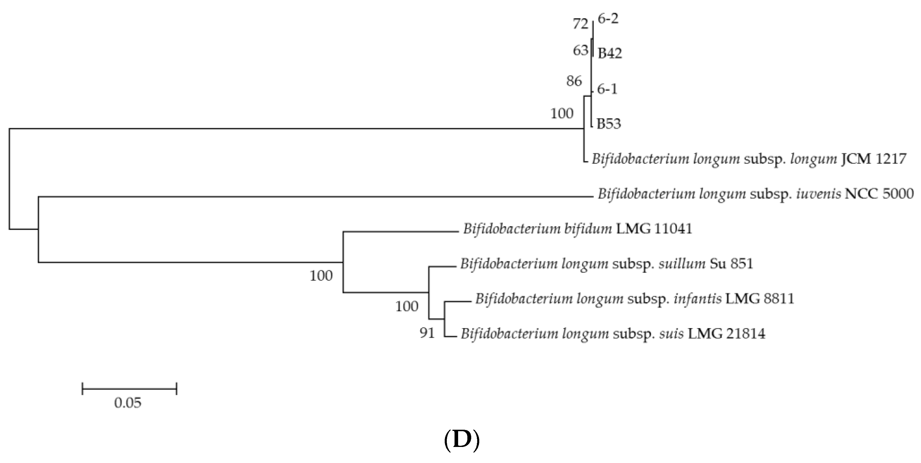 Foods 13 00519 g001b
