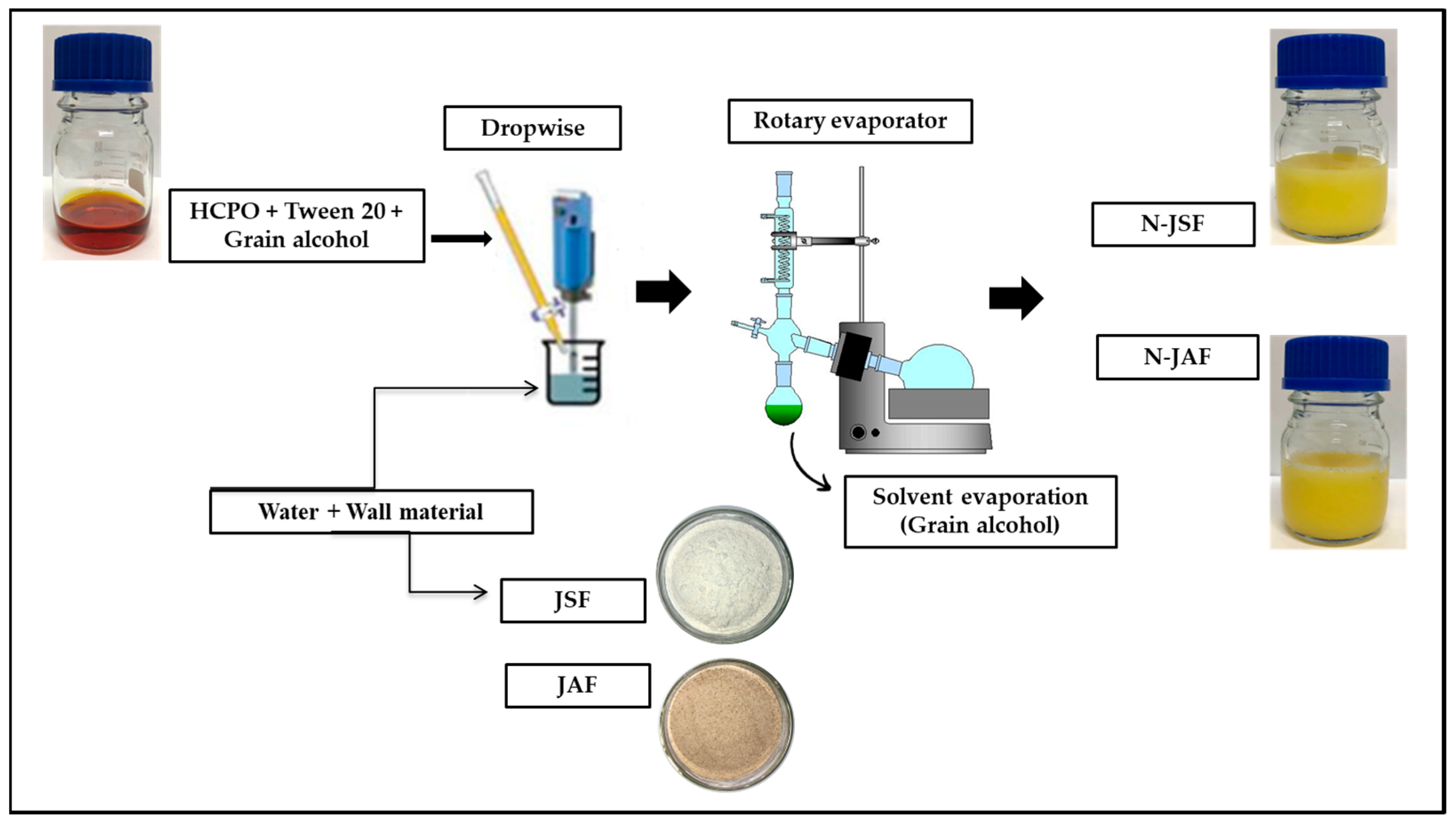 Foods 13 00523 g002 Foods 13 00523 g002