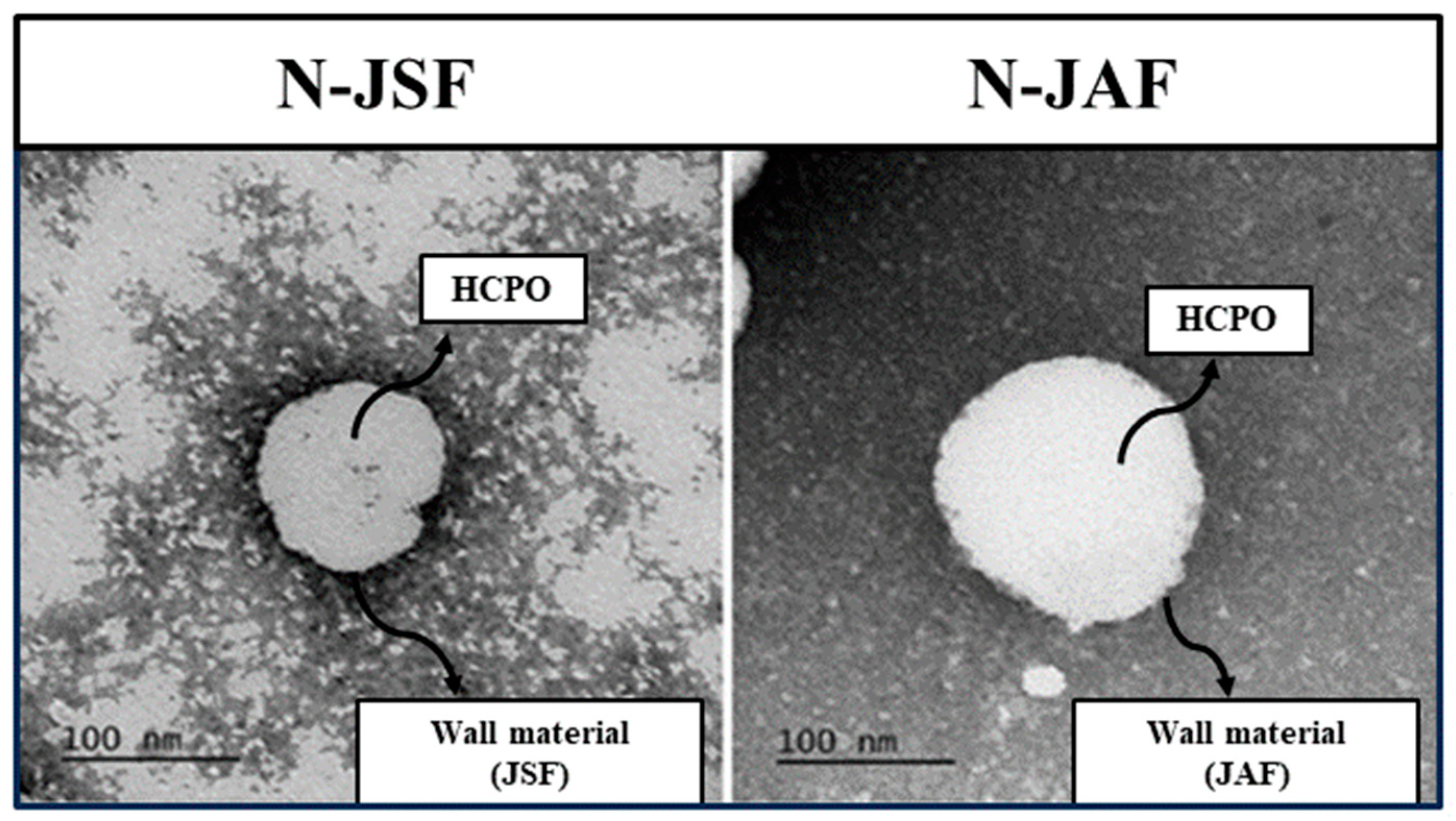 Foods 13 00523 g004 Foods 13 00523 g004