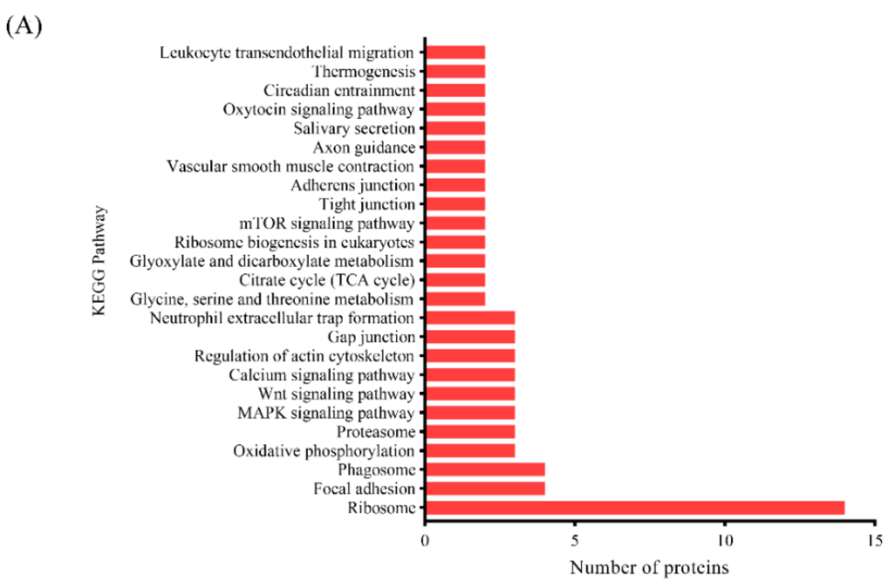 Foods 13 00525 g005a