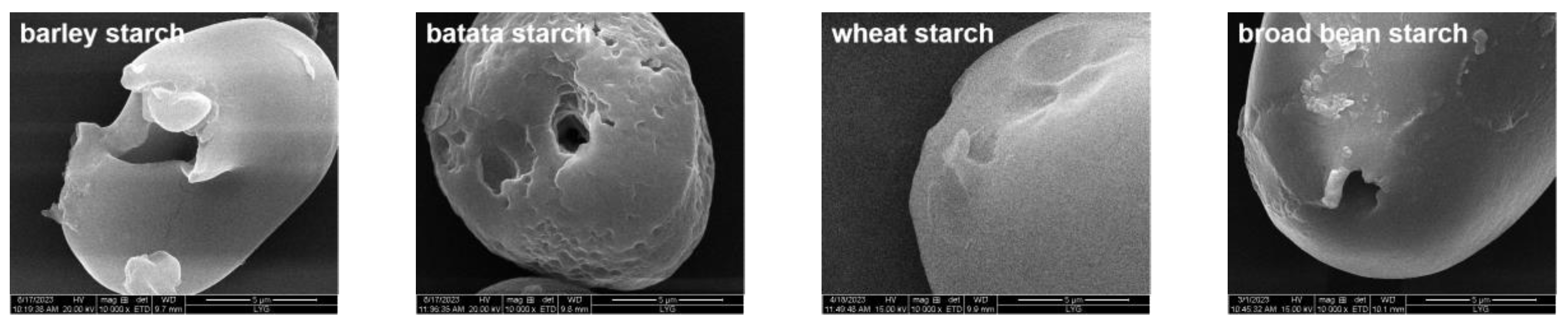 Foods 13 00549 g003a