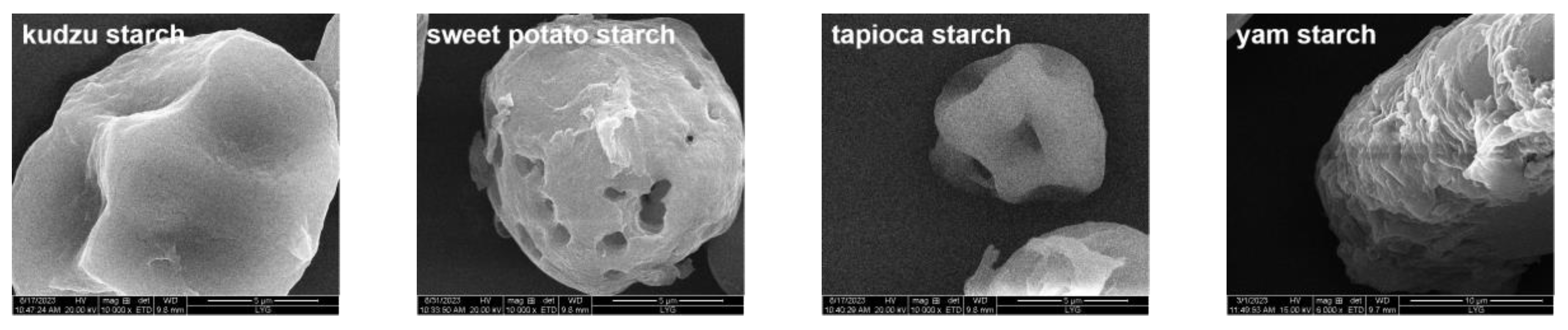 Foods 13 00549 g003b