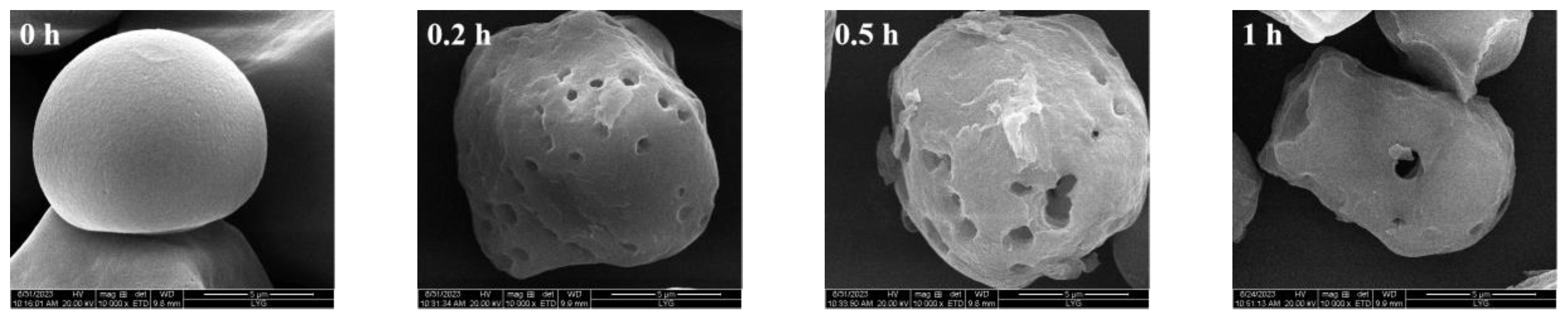 Foods 13 00549 g004a