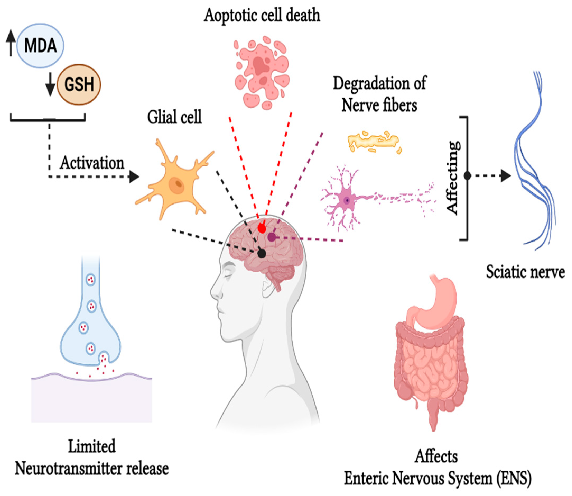 Foods 13 00556 g003 Foods 13 00556 g003