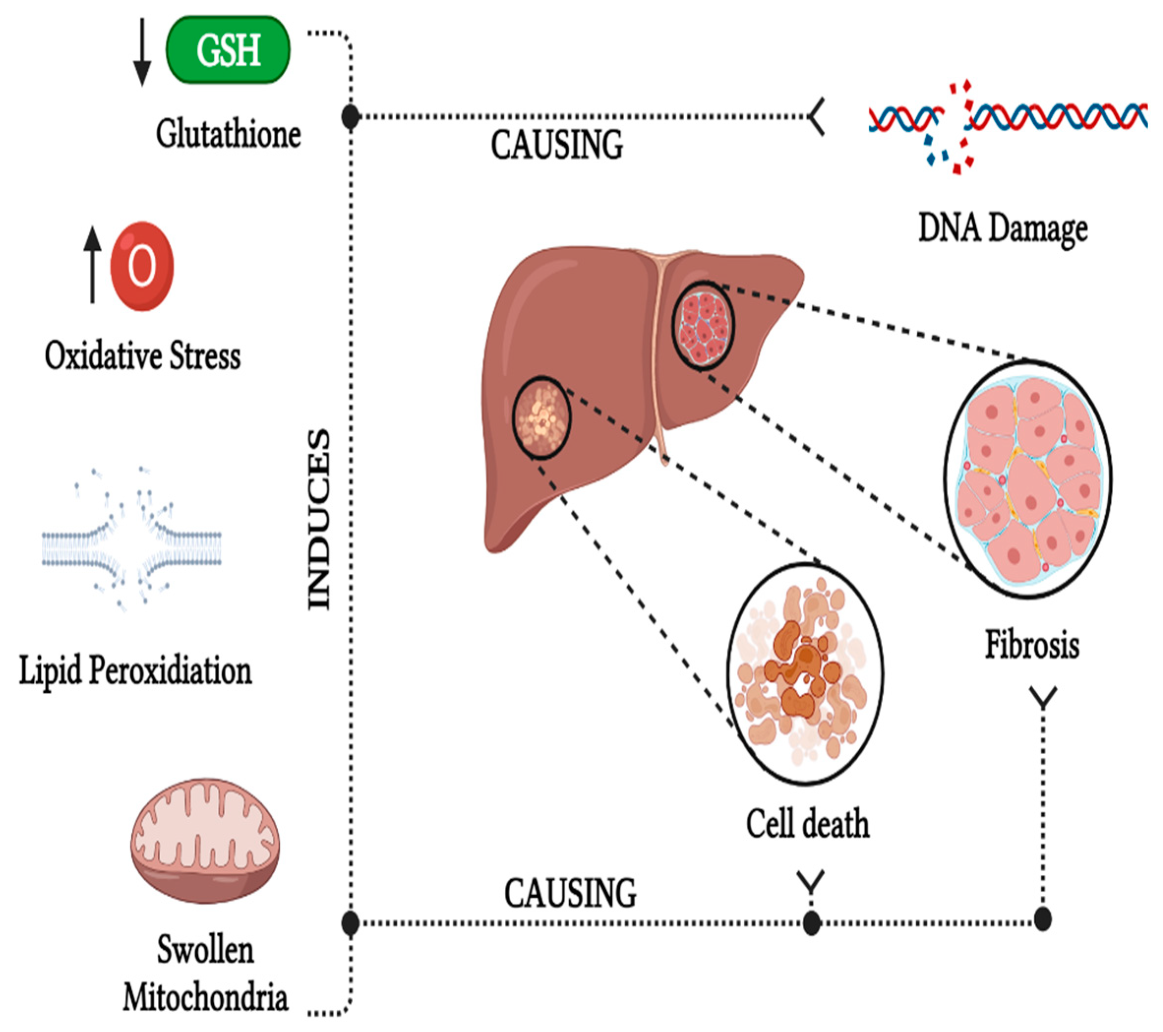 Foods 13 00556 g004 Foods 13 00556 g004