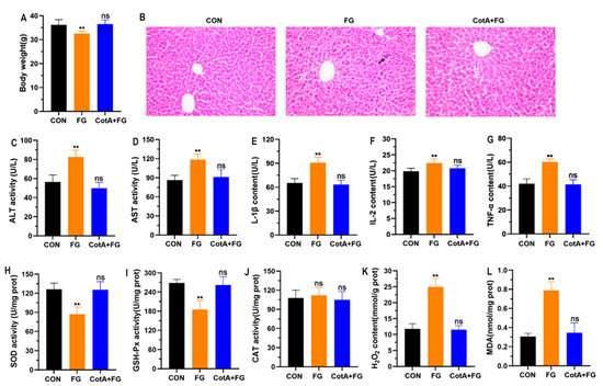 コタアイケア CD133-Dependent Activation of Phosphoinositide 3-Kinase /AKT