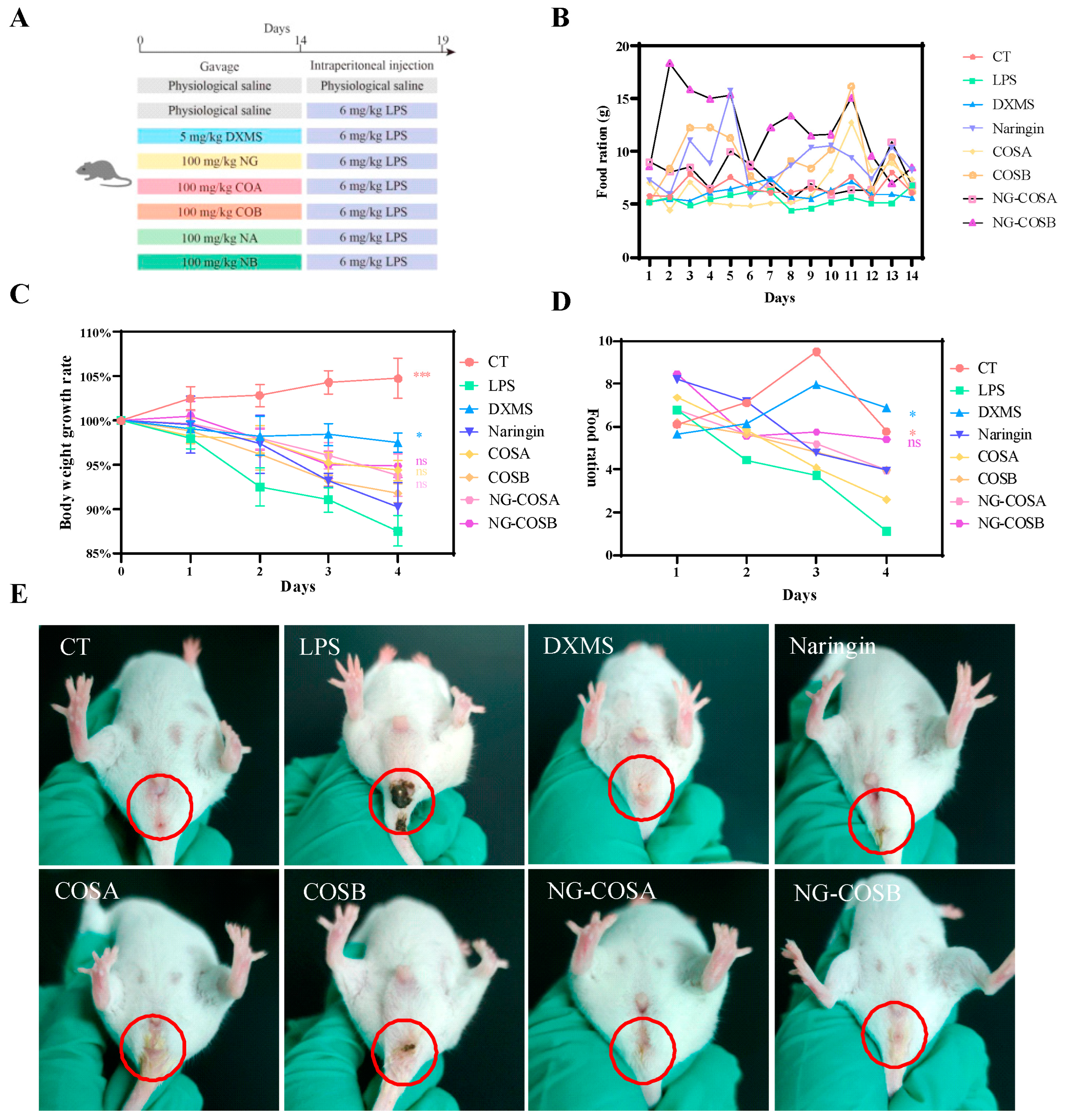 Foods 13 00576 g001 Foods 13 00576 g001