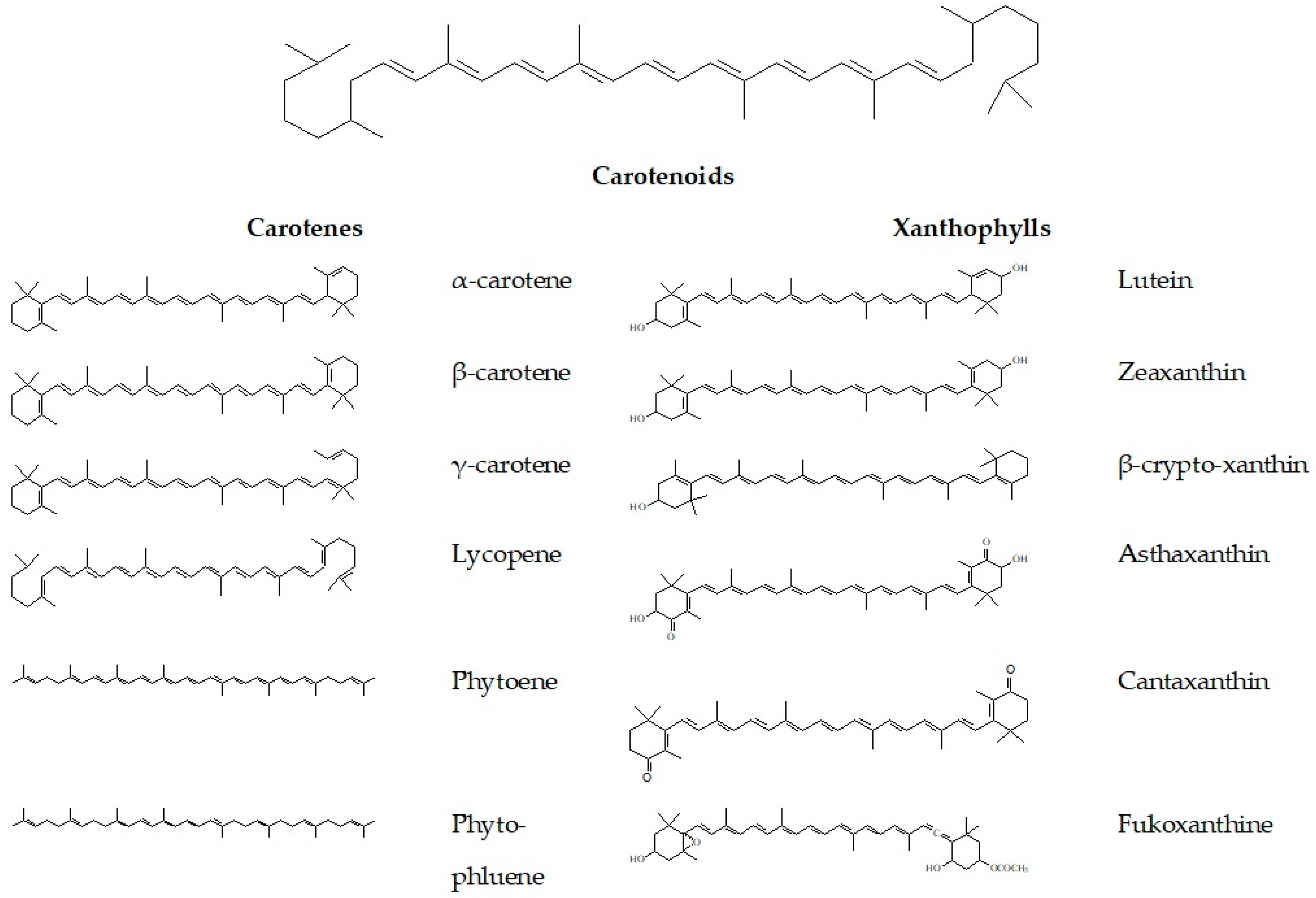 Foods 13 00605 g001 Foods 13 00605 g001