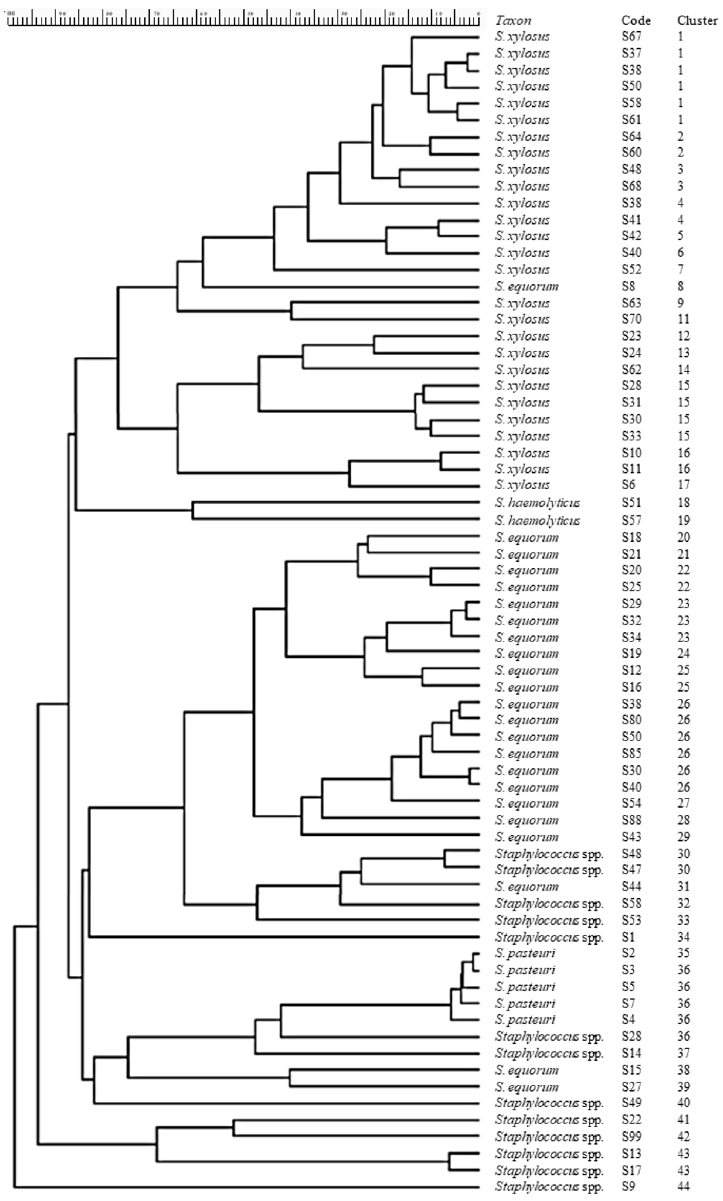 Foods 13 00633 g001 Foods 13 00633 g001