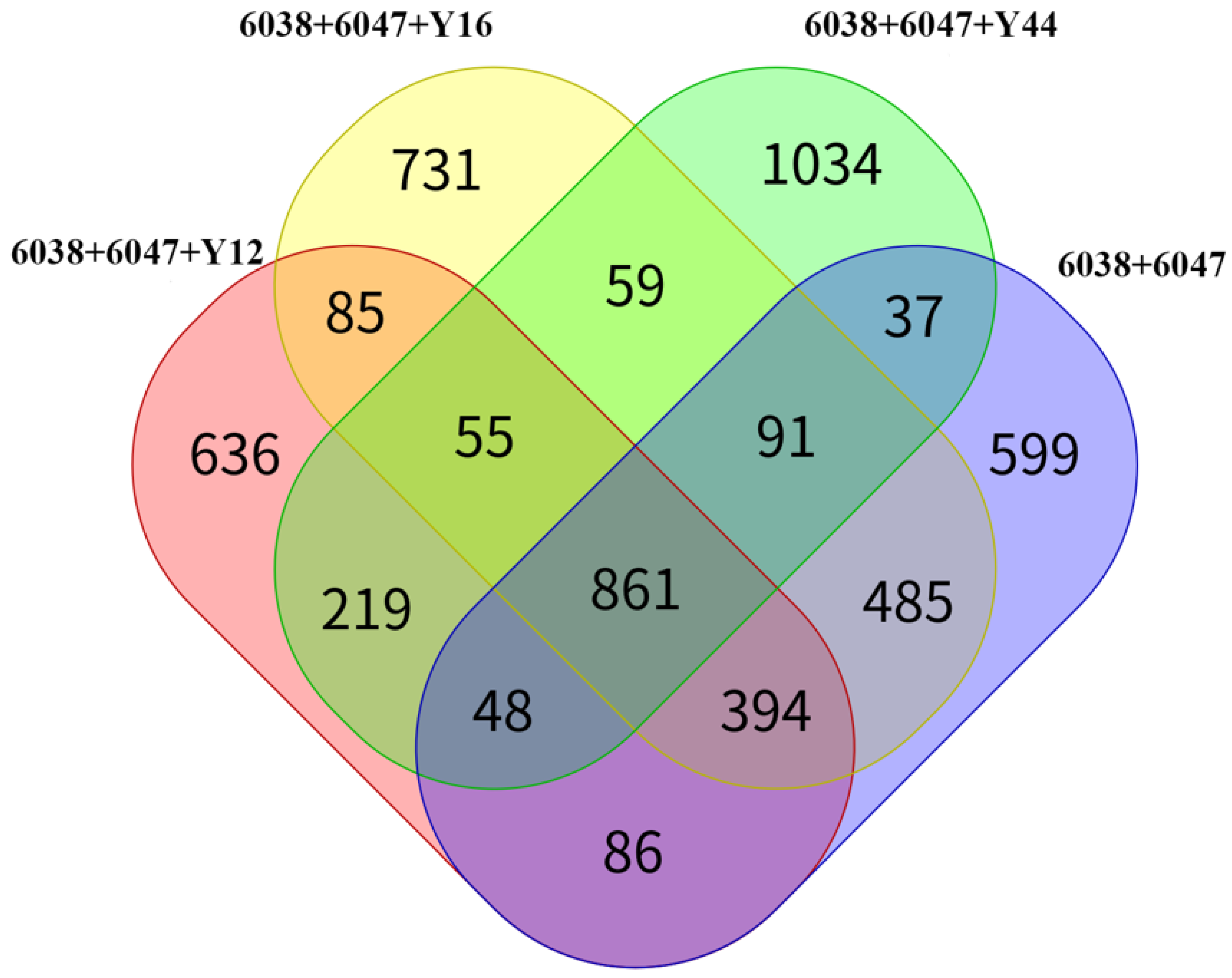 Foods 13 00641 g001 Foods 13 00641 g001