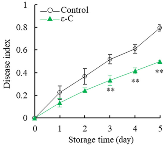 Investigating the Respiratory and Energy Metabolism