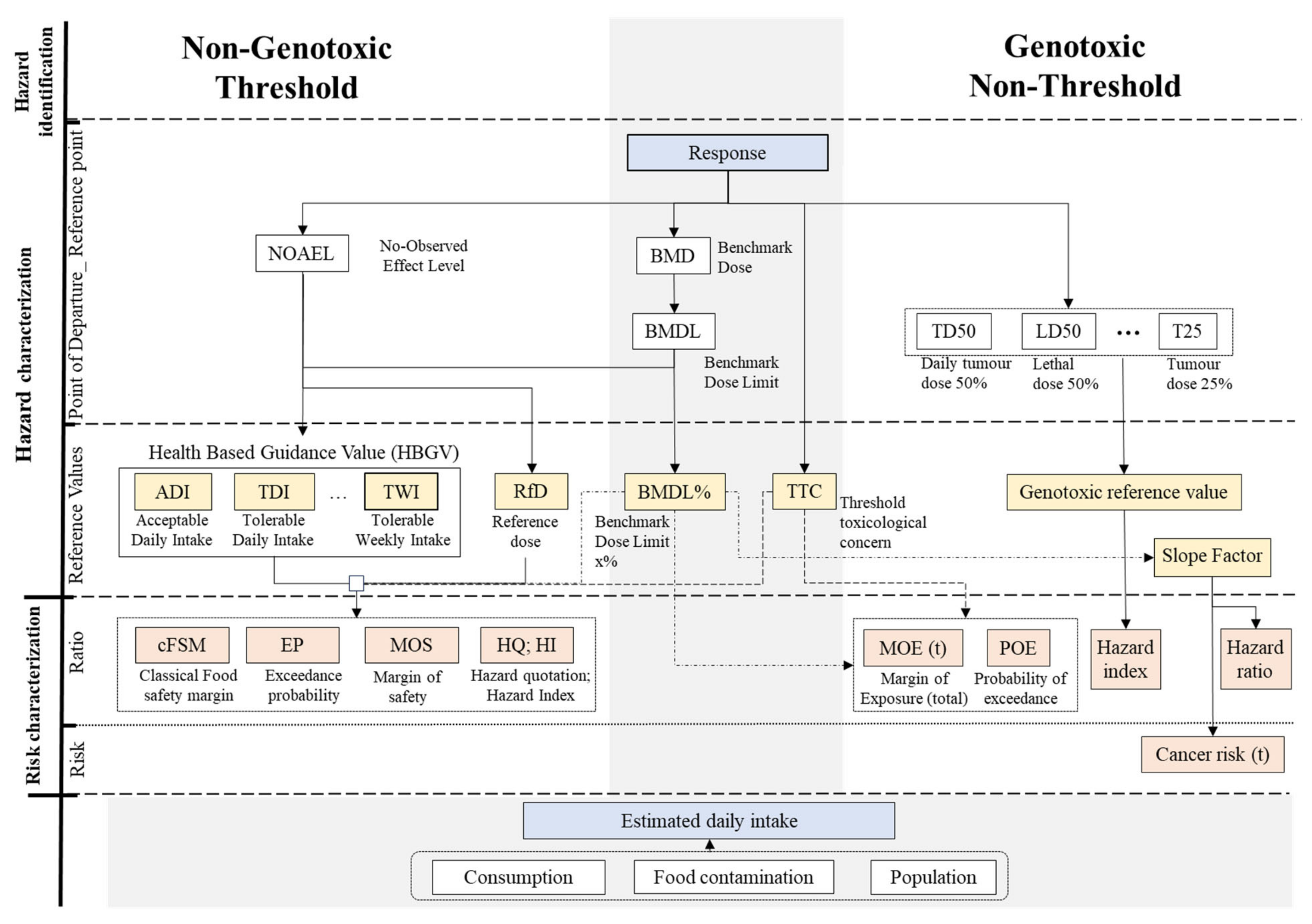 Review of the Terminology, Approaches, and Formulations Used