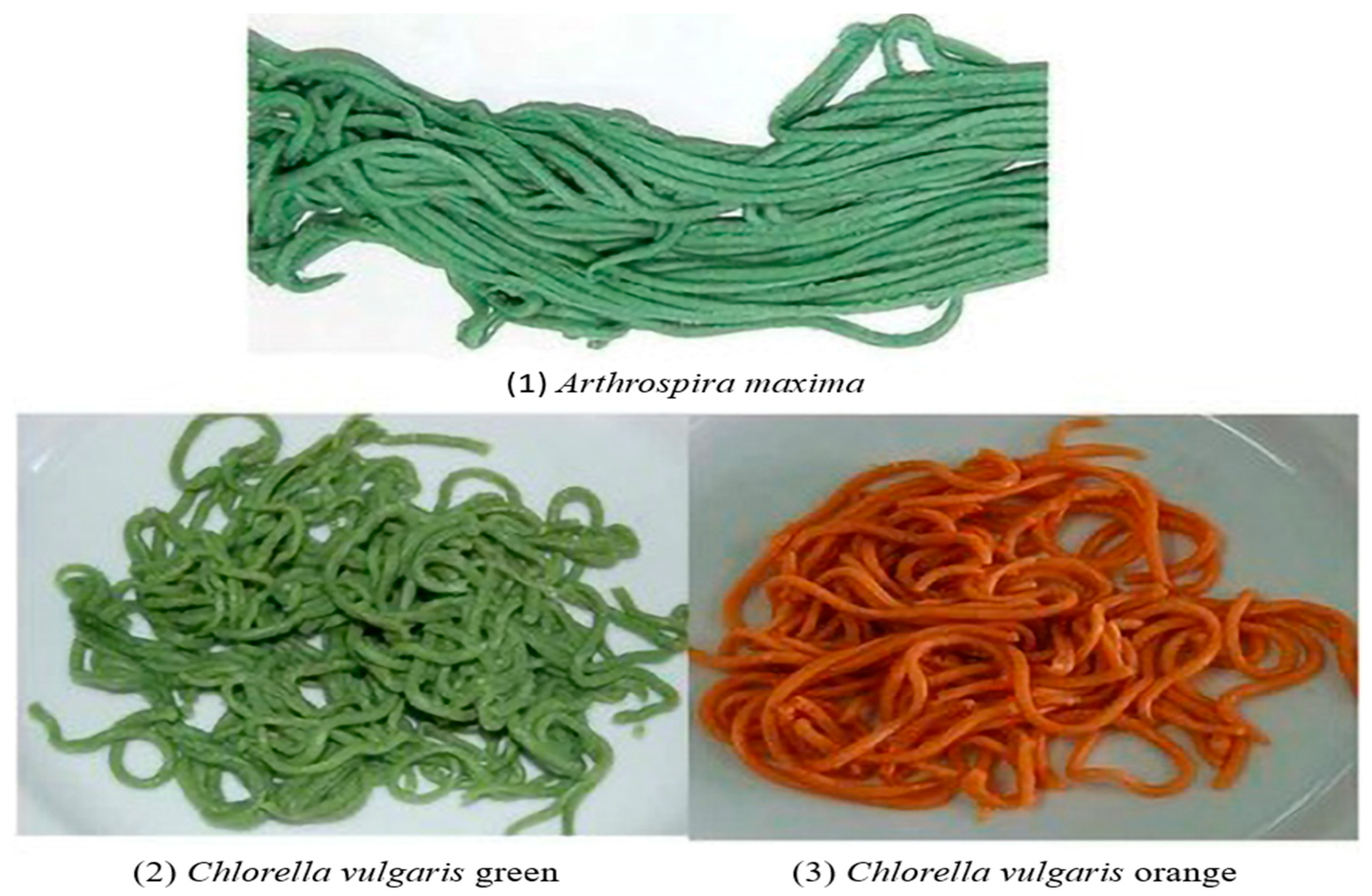 Foods 13 00725 g003 Foods 13 00725 g003