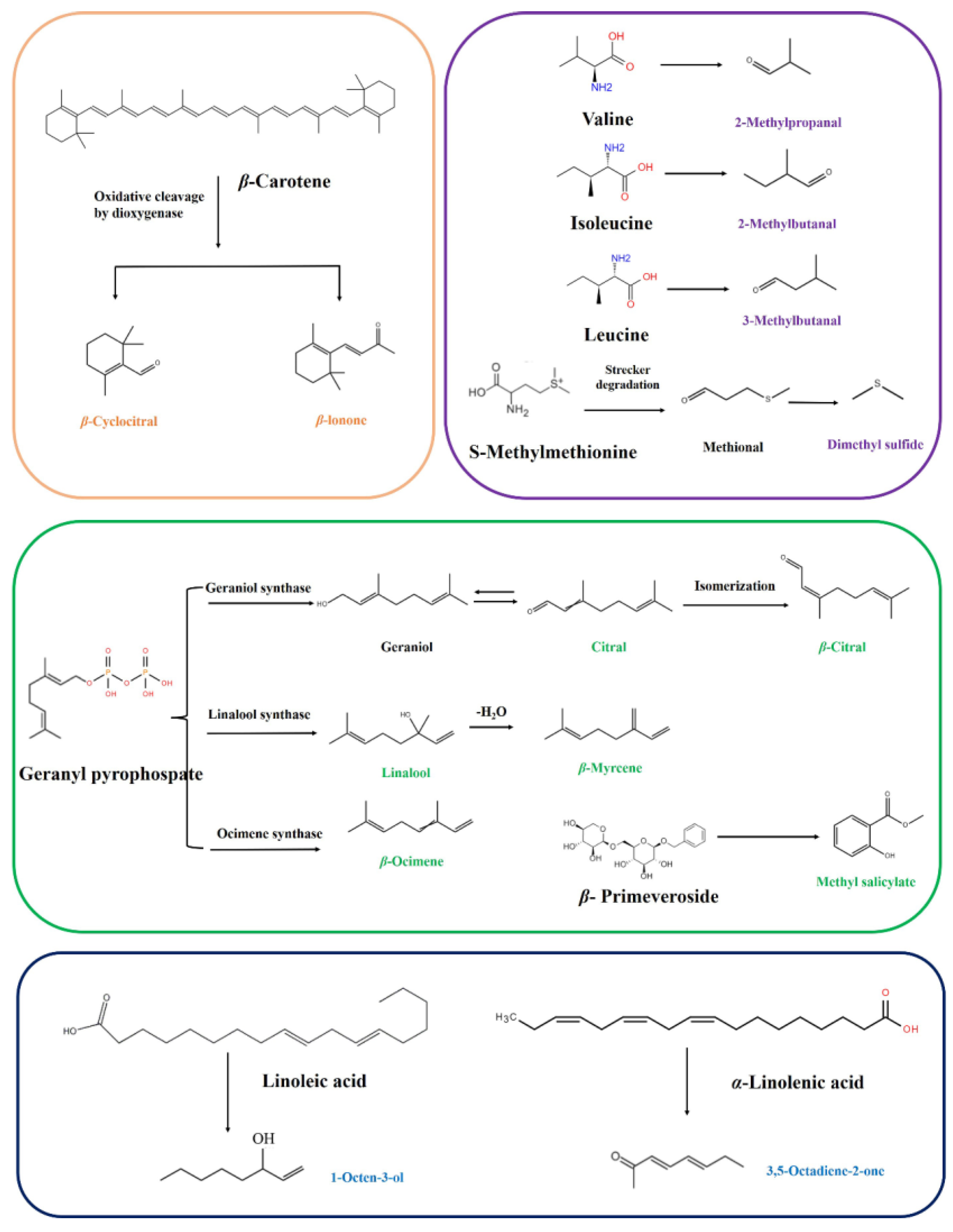 Uncovering the Dynamic Alterations of Volatile Components in