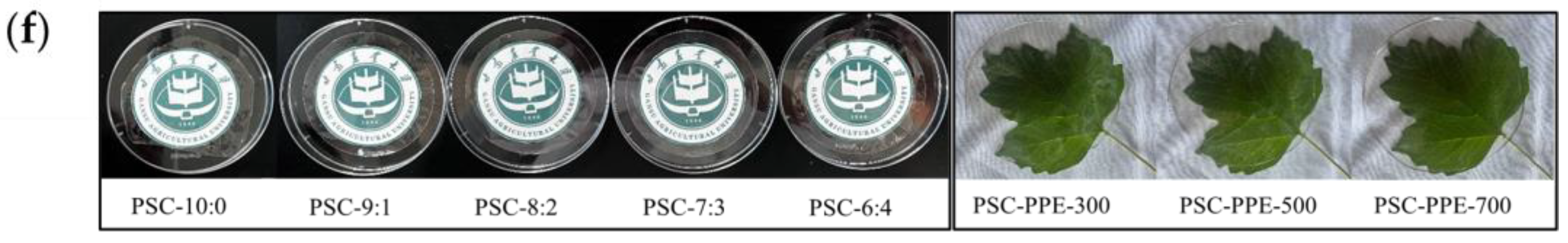 Foods 13 00736 g001b