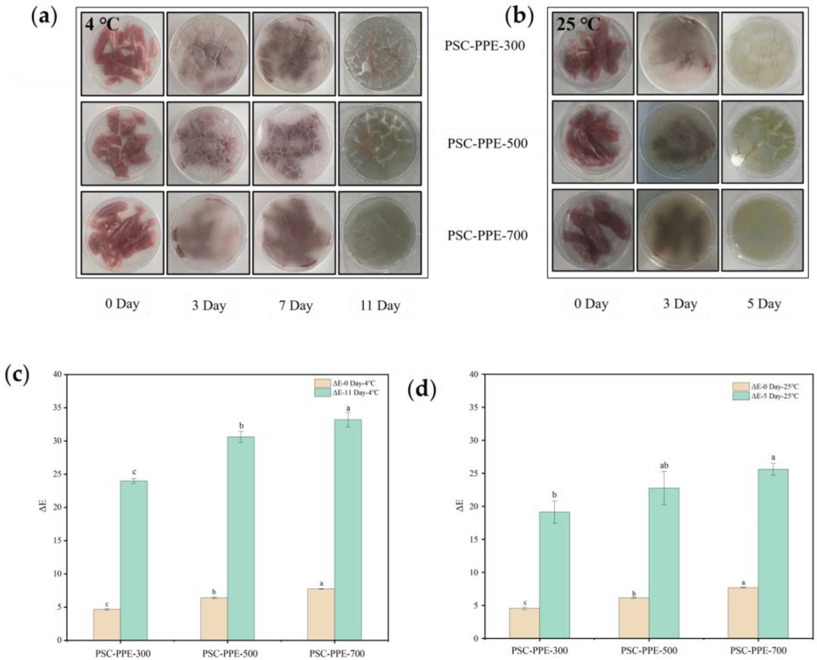 Foods 13 00736 g004a