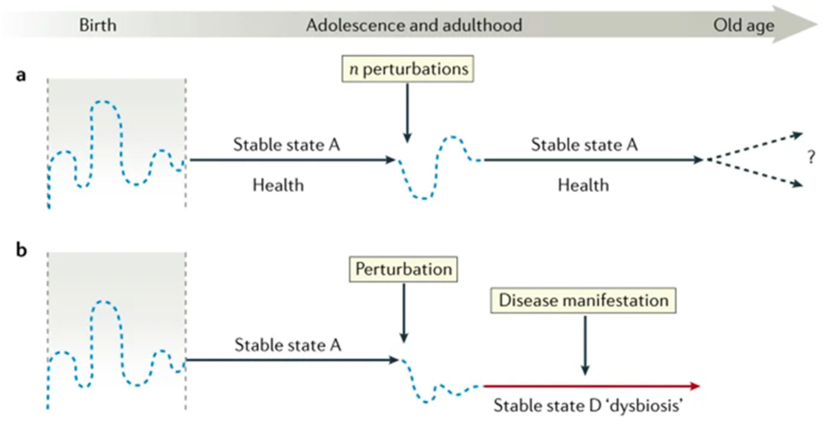 Local and Systemic Effects of Bioactive Food Ingredients: Is There