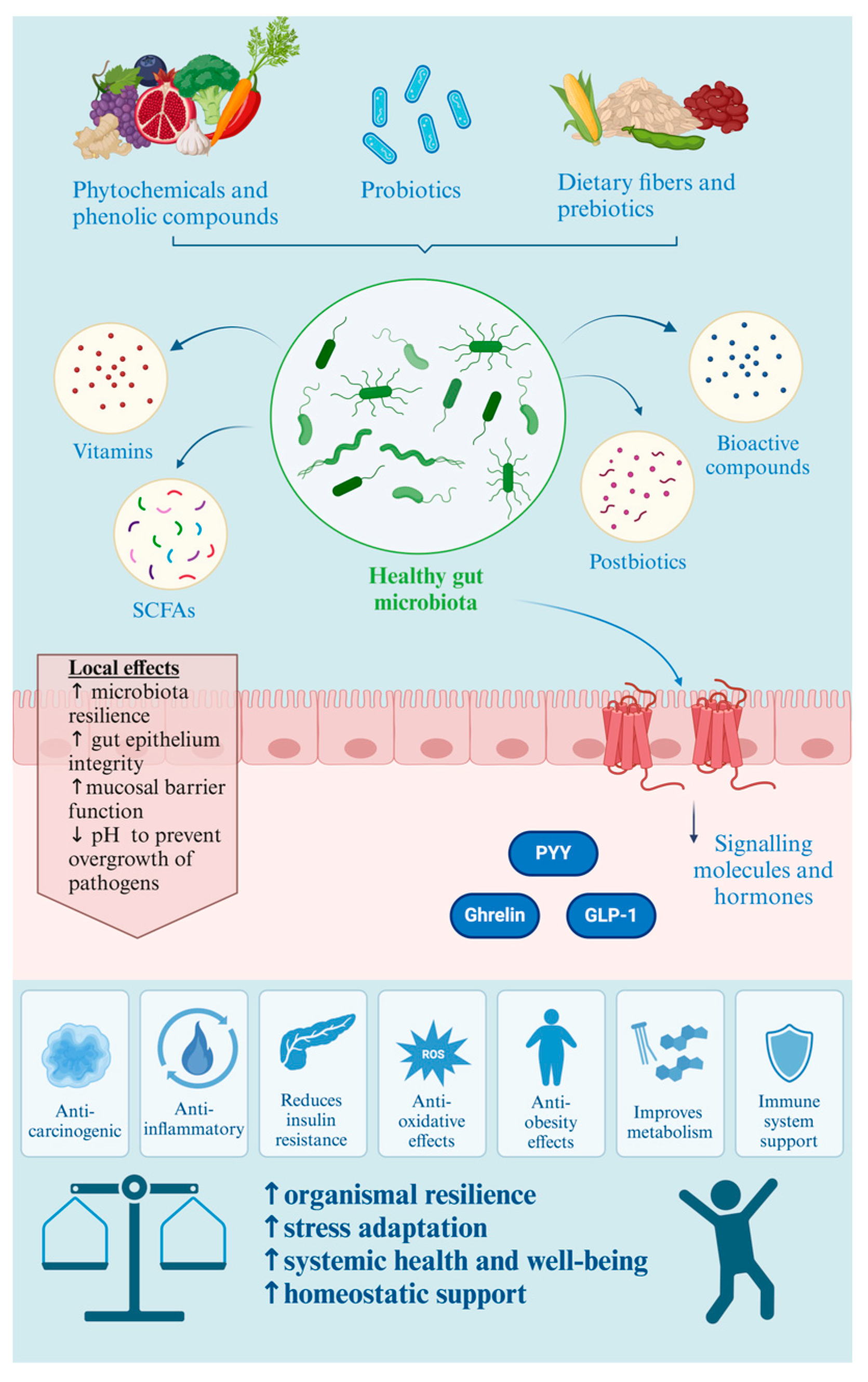 ORオーダー専用ページ Local and Systemic Effects of Bioactive Food Ingredients: Is