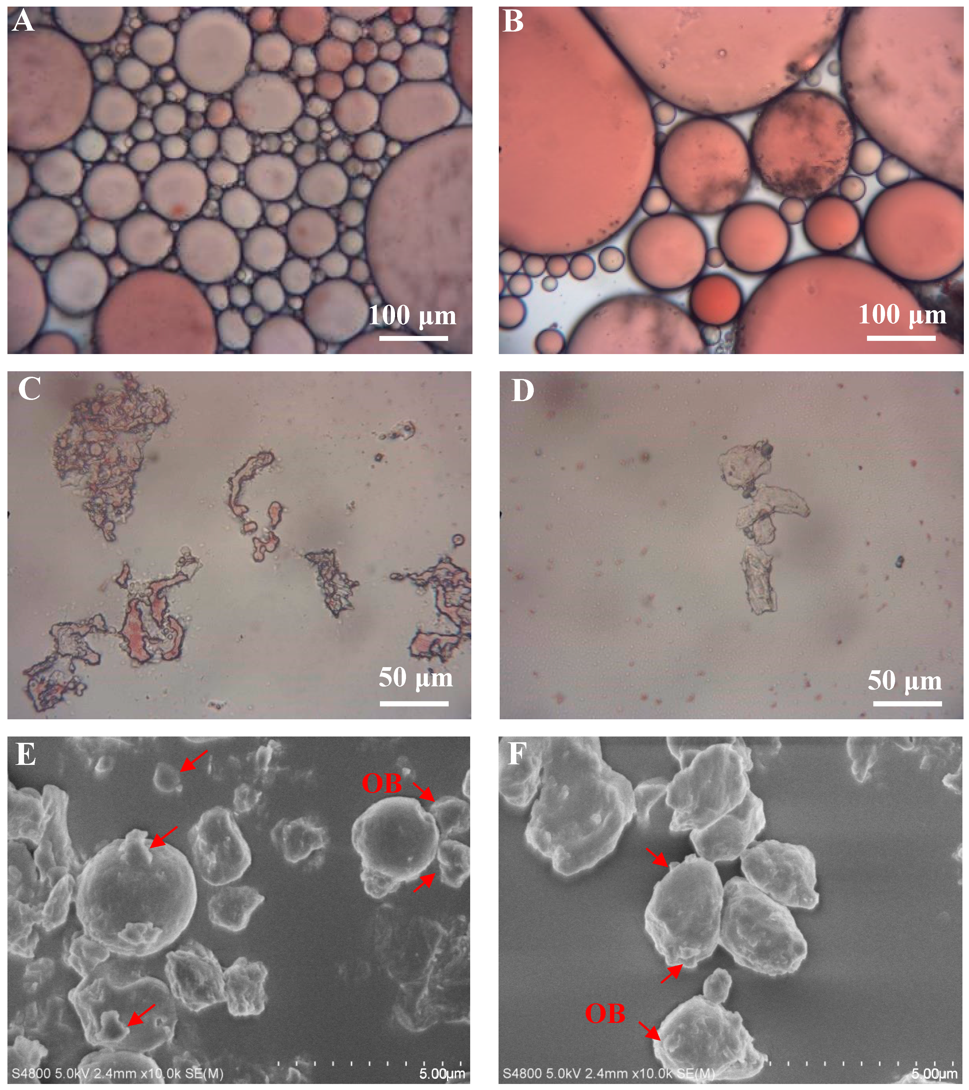 Foods 13 00758 g003 Foods 13 00758 g003