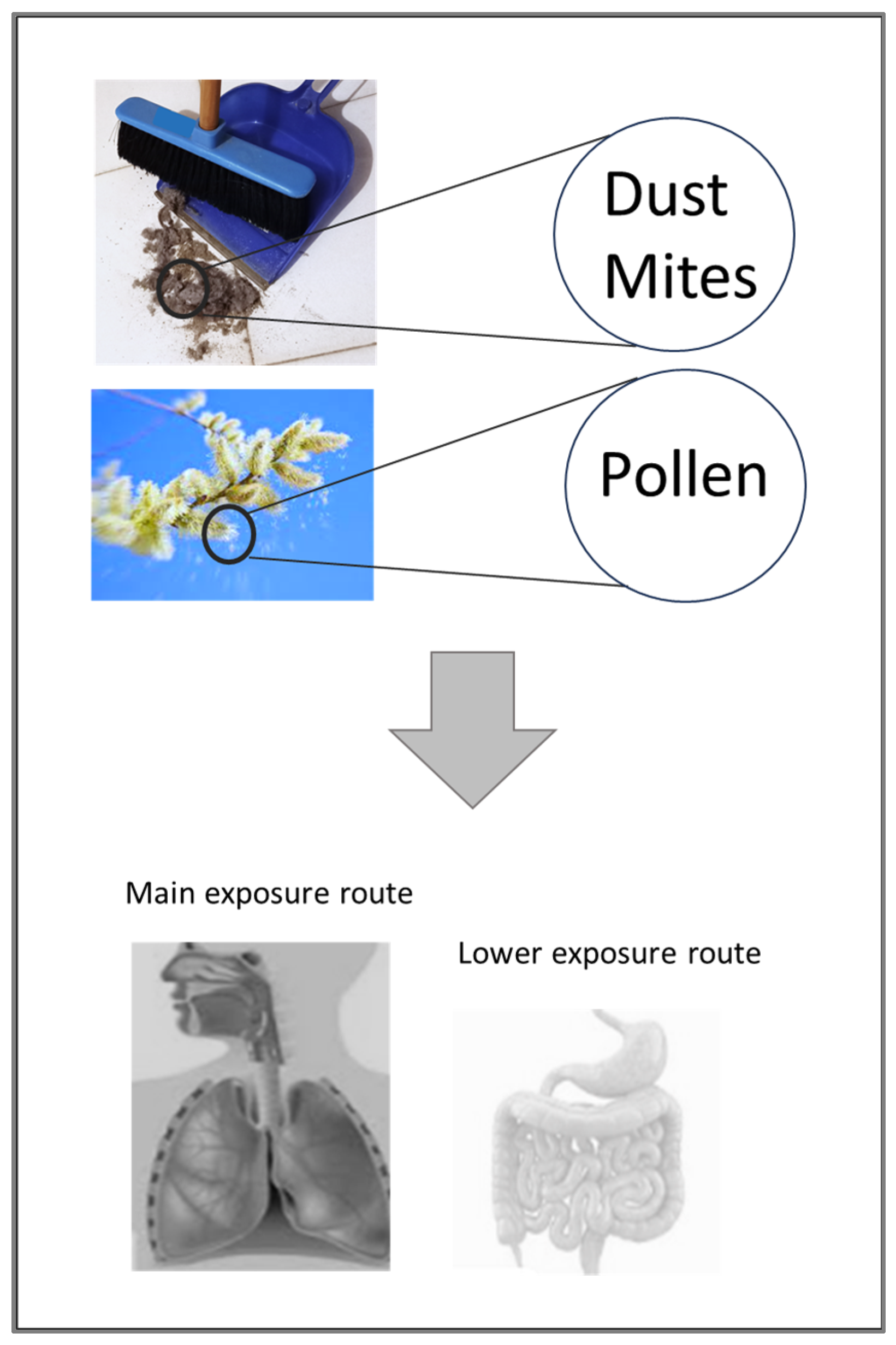 Foods 13 00790 g002 Foods 13 00790 g002
