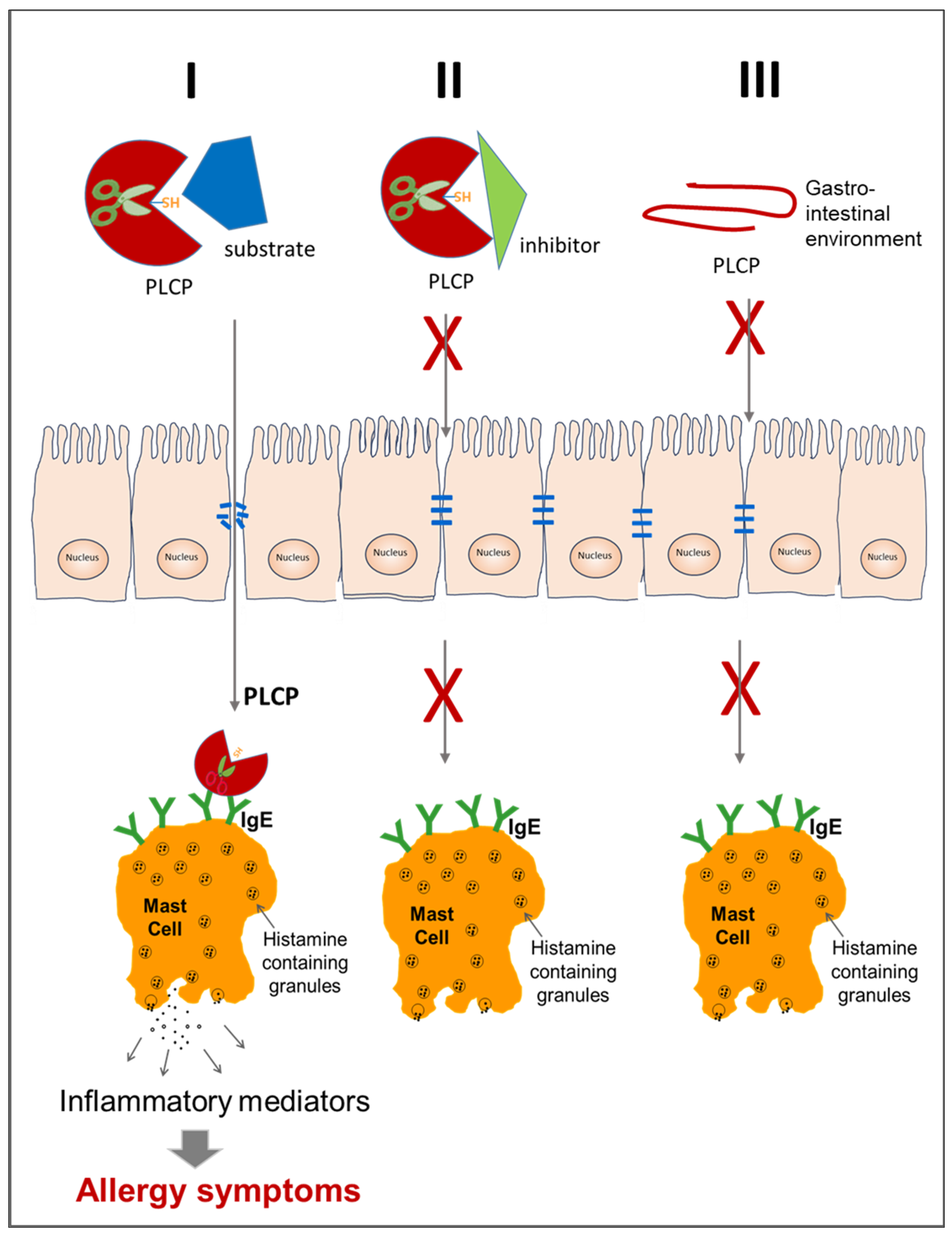 Foods 13 00790 g006 Foods 13 00790 g006