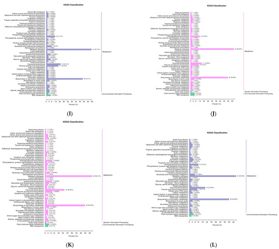 UPLC-ESI-MS/MS-Based Analysis of Various Edible Rosa Fruits
