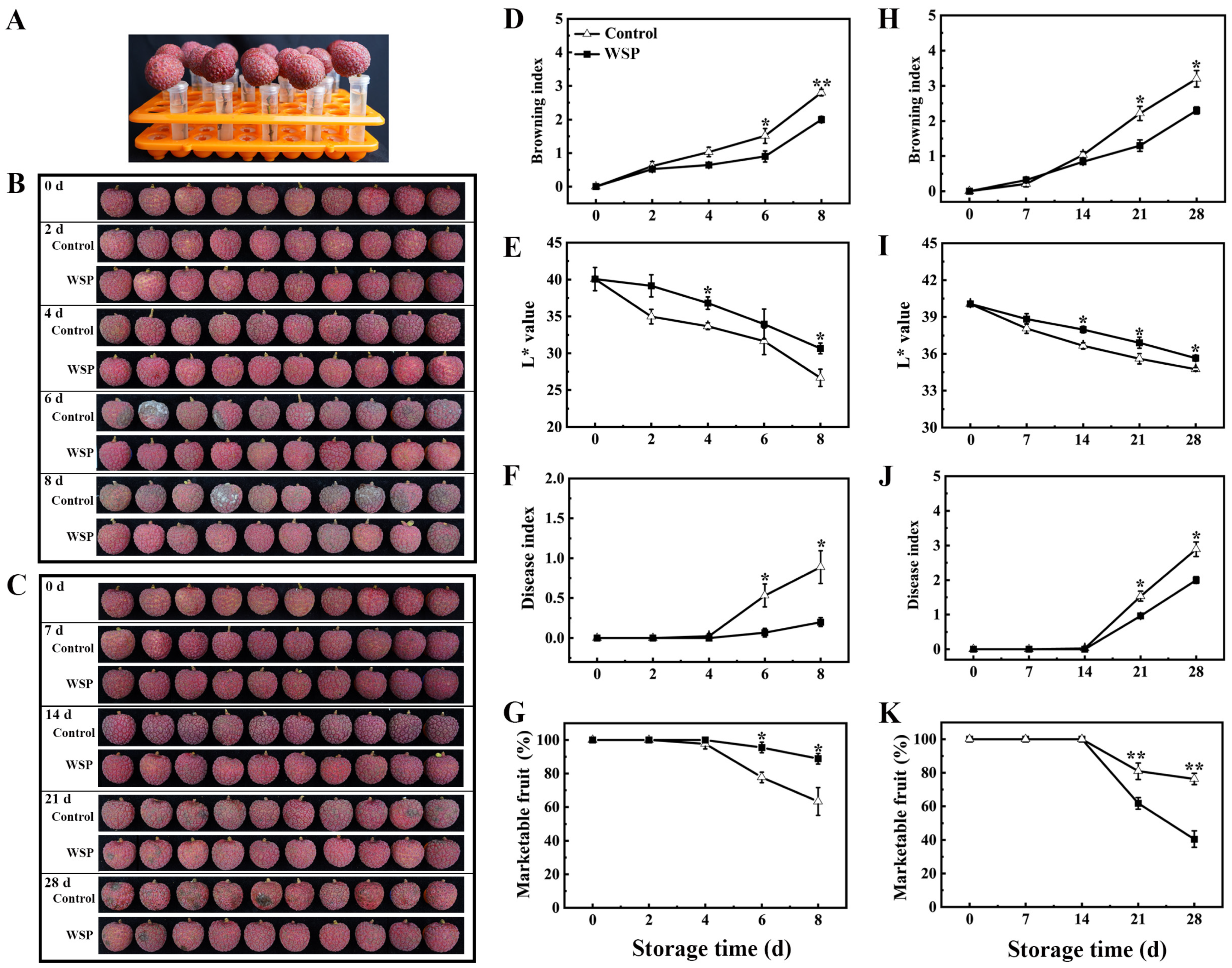 Foods 13 00814 g001 Foods 13 00814 g001