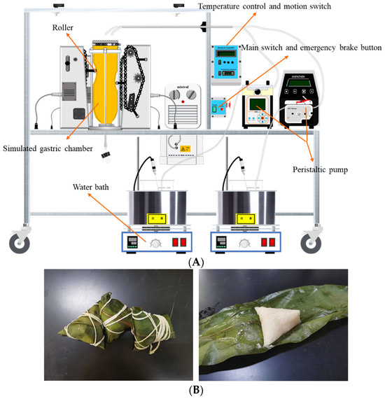 Influence of Long-Chain Amylopectin on Physicochemical and