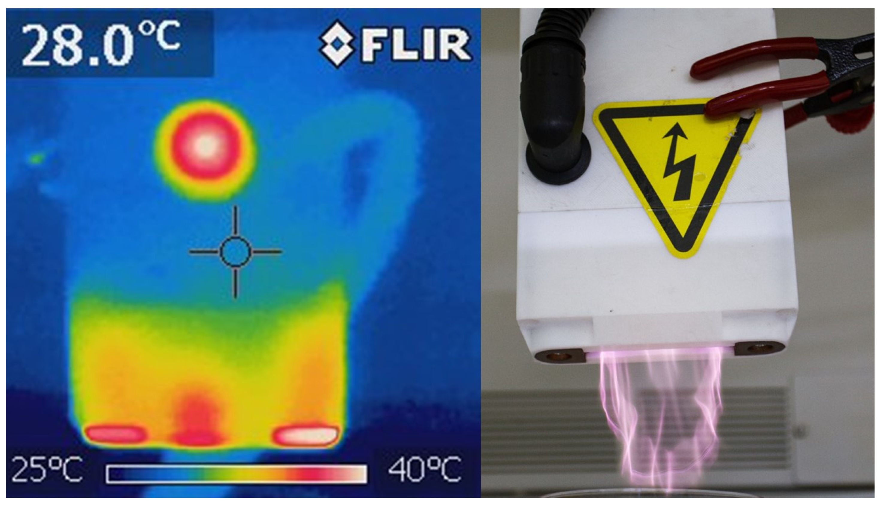 Foods 13 00822 g003 Foods 13 00822 g003