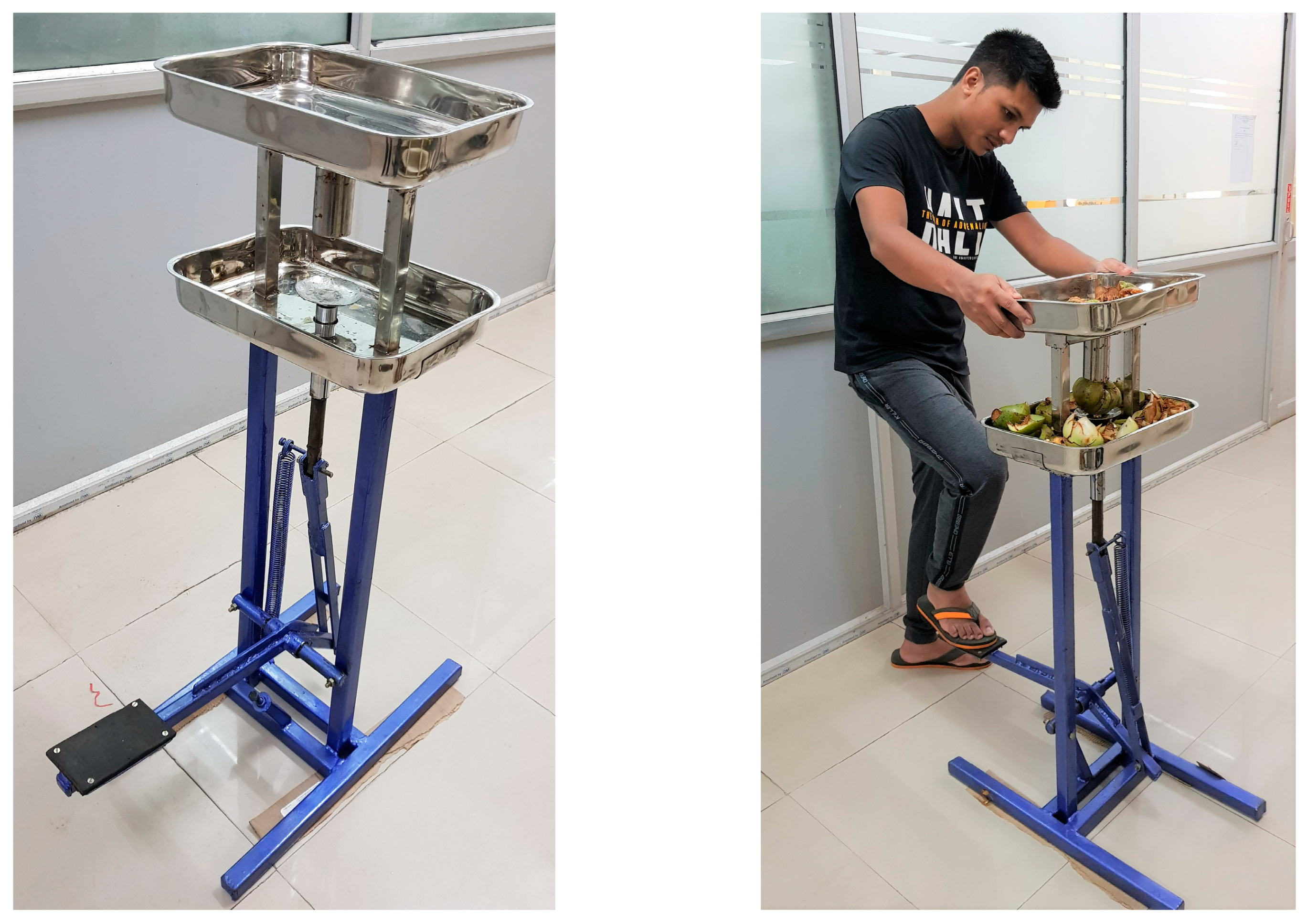 Foods 13 00848 g002 Foods 13 00848 g002