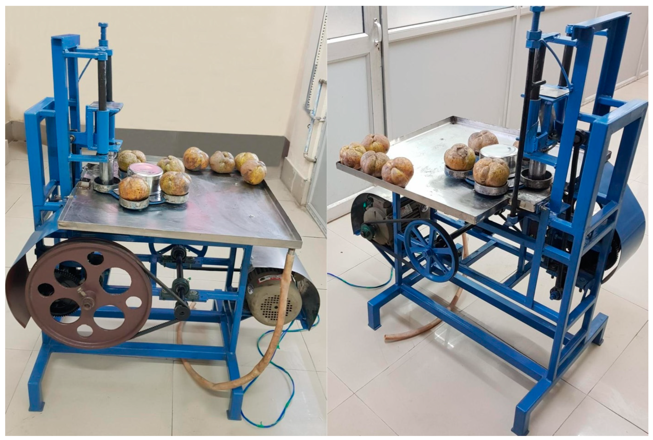 Foods 13 00848 g005 Foods 13 00848 g005