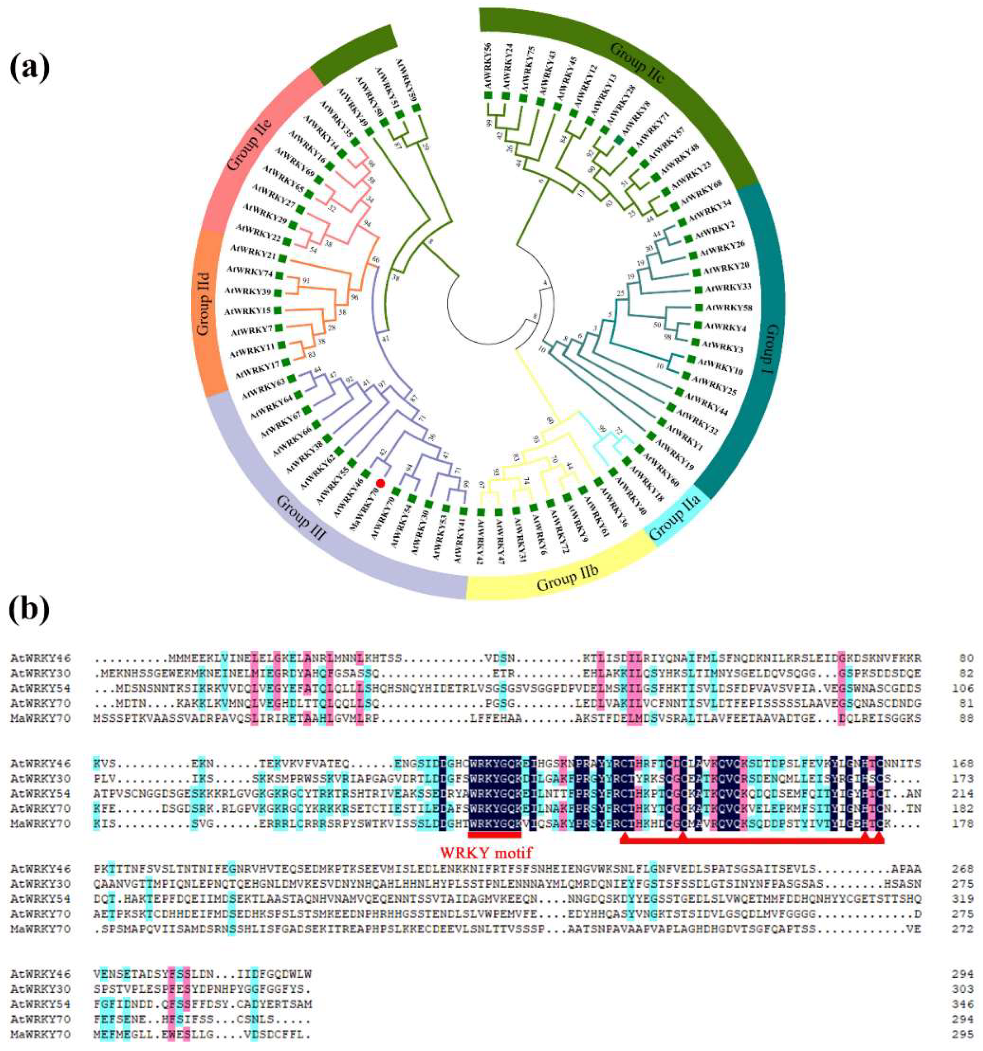 Foods 13 00854 g002 Foods 13 00854 g002