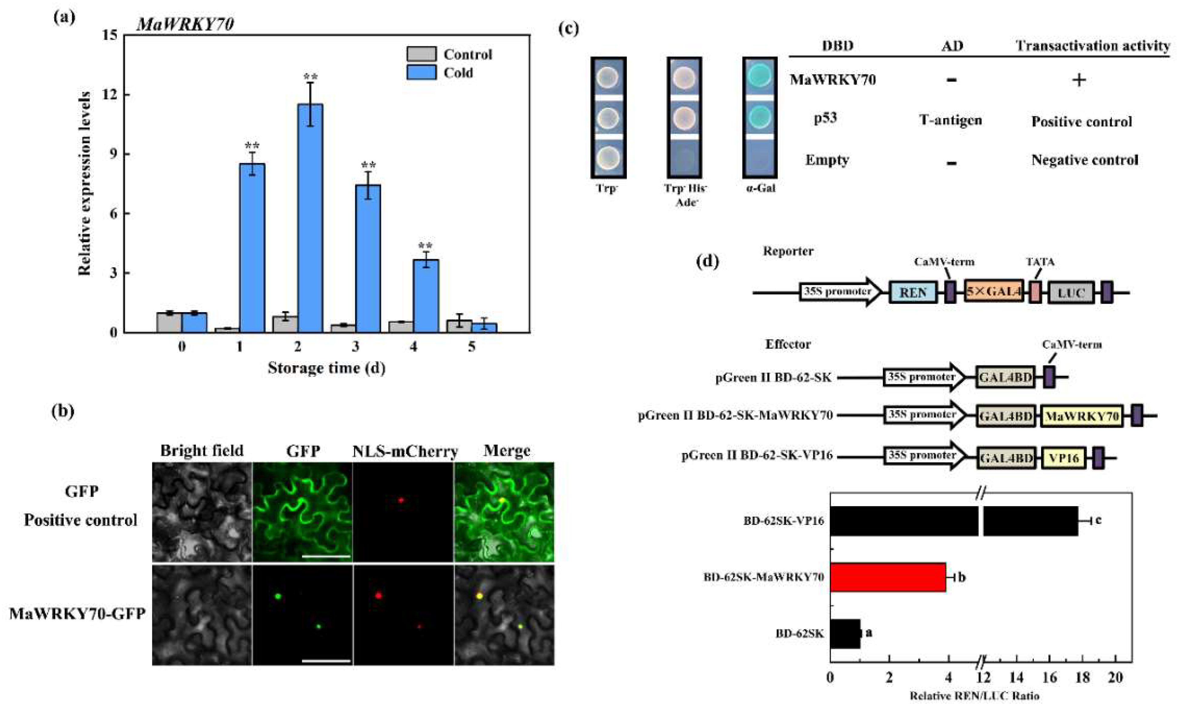 Foods 13 00854 g003 Foods 13 00854 g003