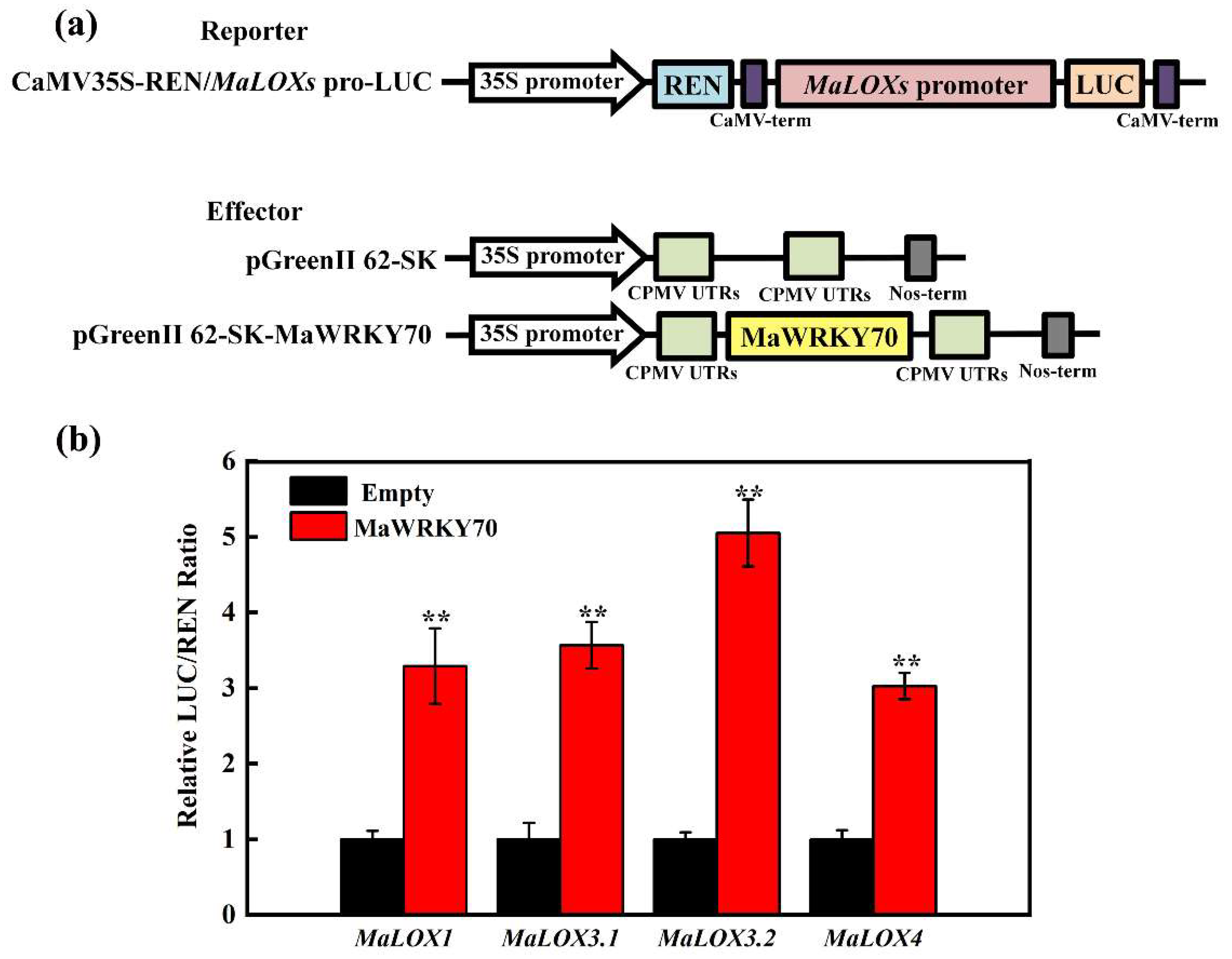 Foods 13 00854 g006 Foods 13 00854 g006