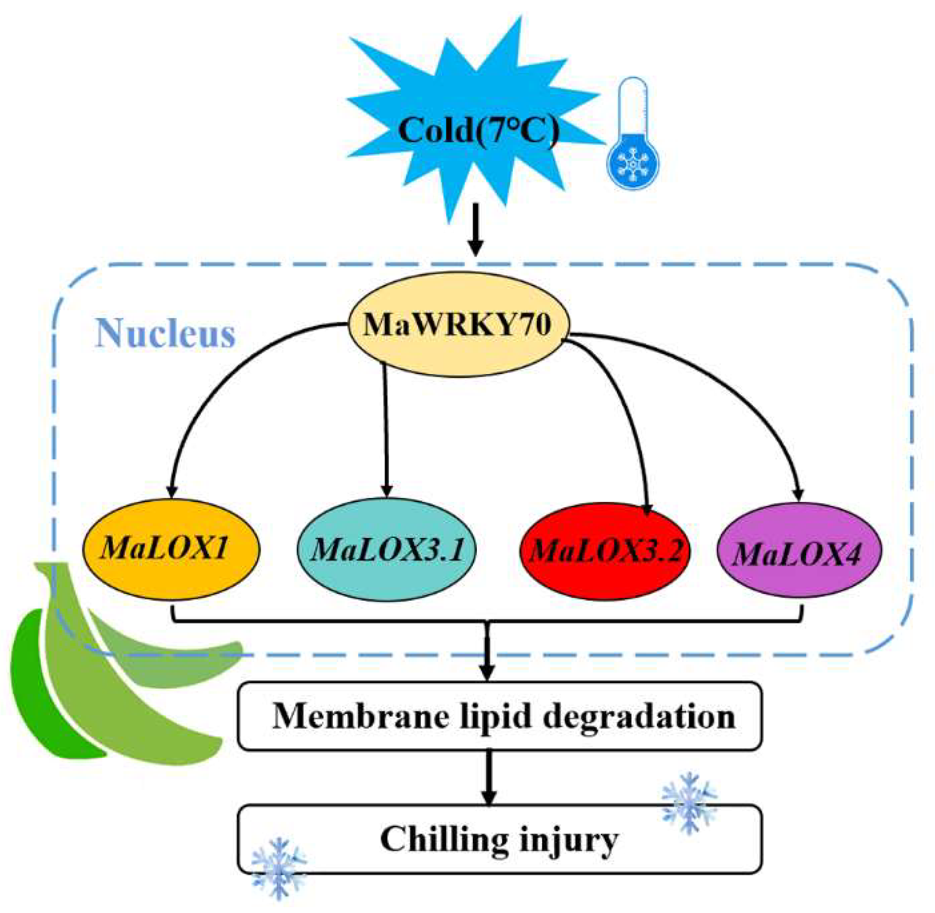 Foods 13 00854 g007 Foods 13 00854 g007